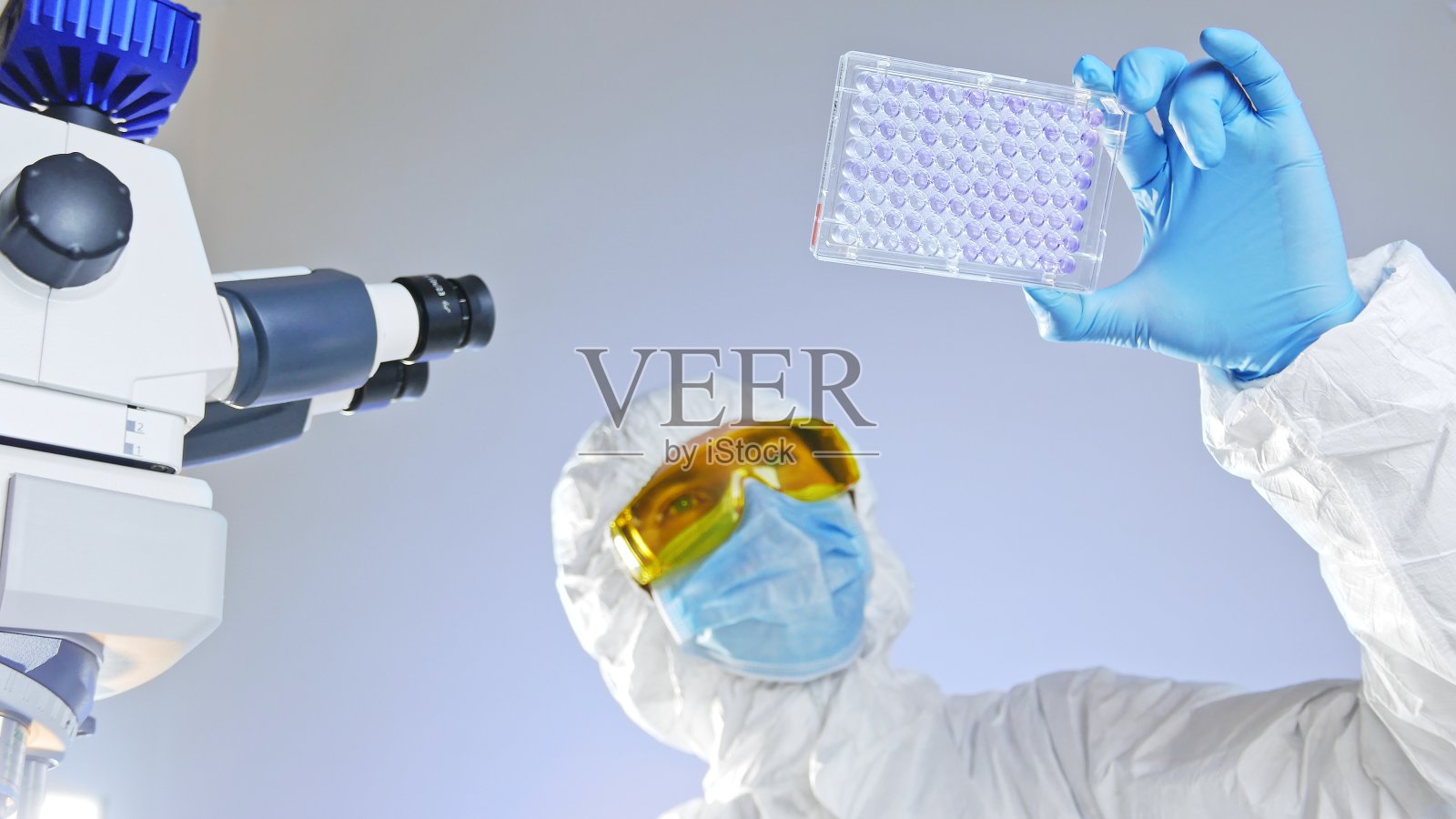 科学家通过光线观察医学板。照片摄影图片