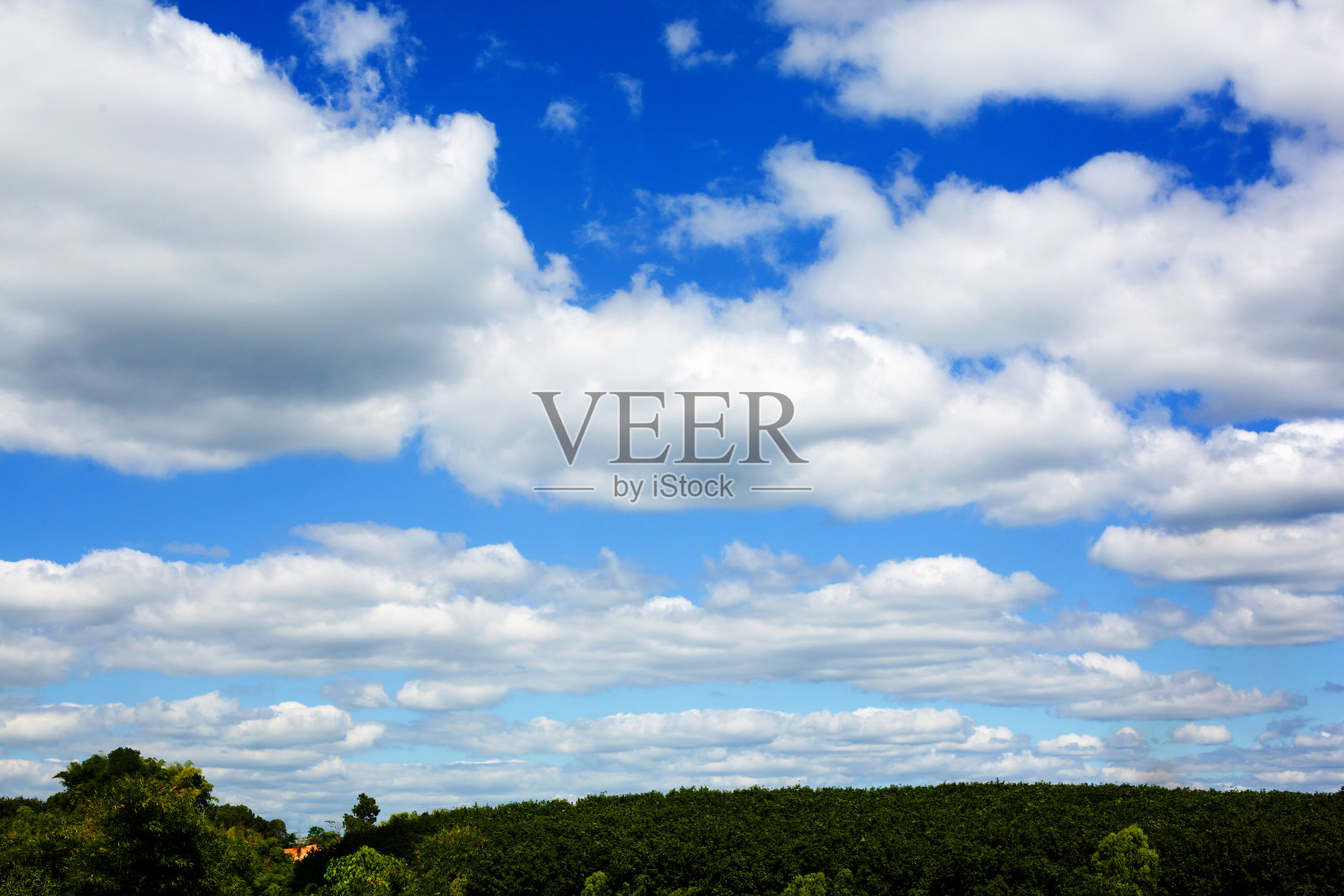 蓝天上布满了美丽的白云。照片摄影图片