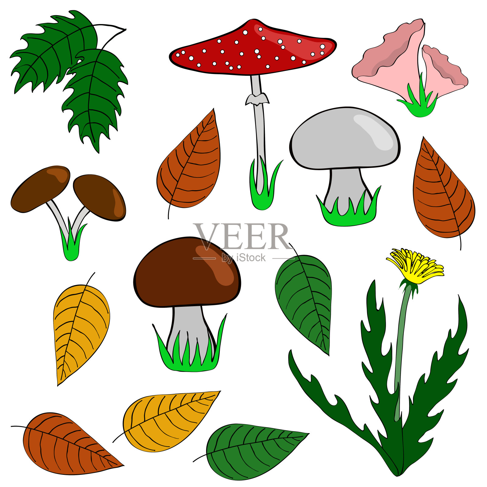 蘑菇、叶子和植物插画图片素材