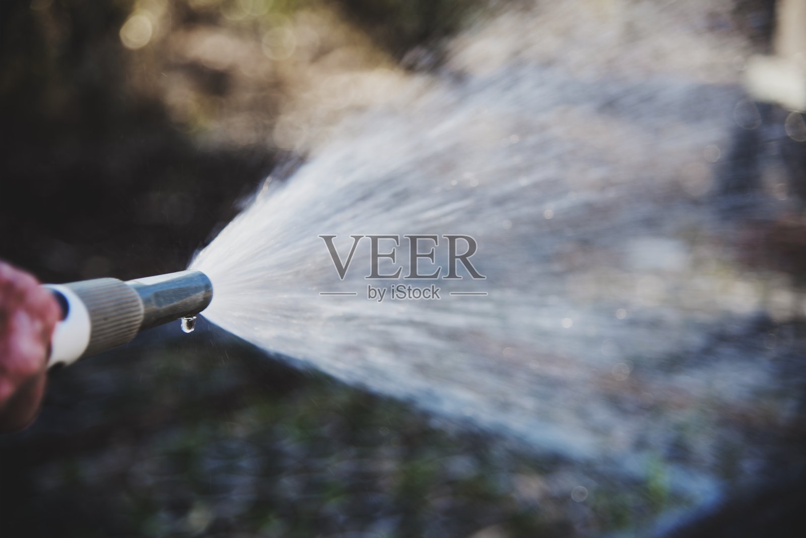 用软管浇花园照片摄影图片