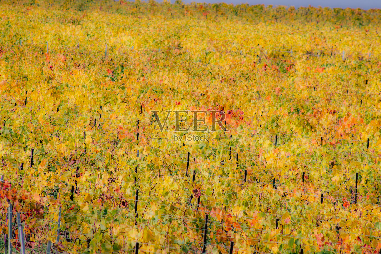 法国的颜色照片摄影图片