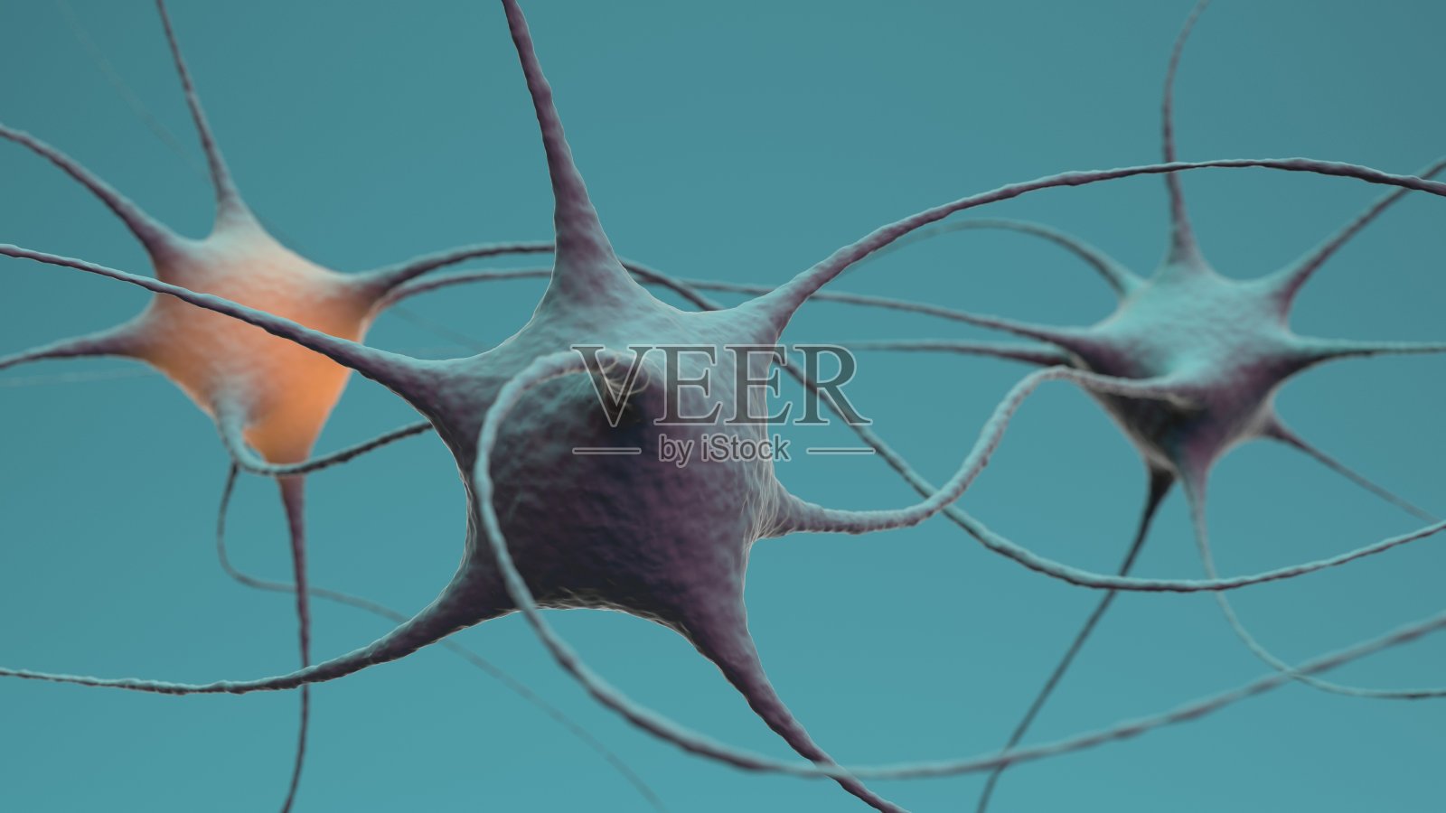 神经元簇信号在大脑内传递照片摄影图片