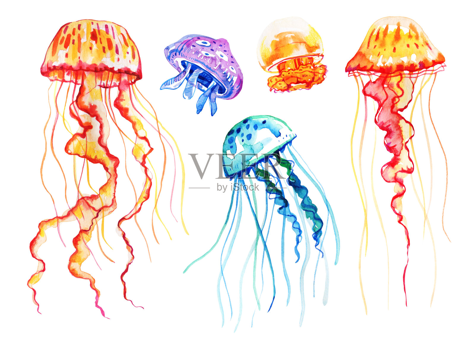 一组不同颜色的水母。手绘水彩插图插画图片素材