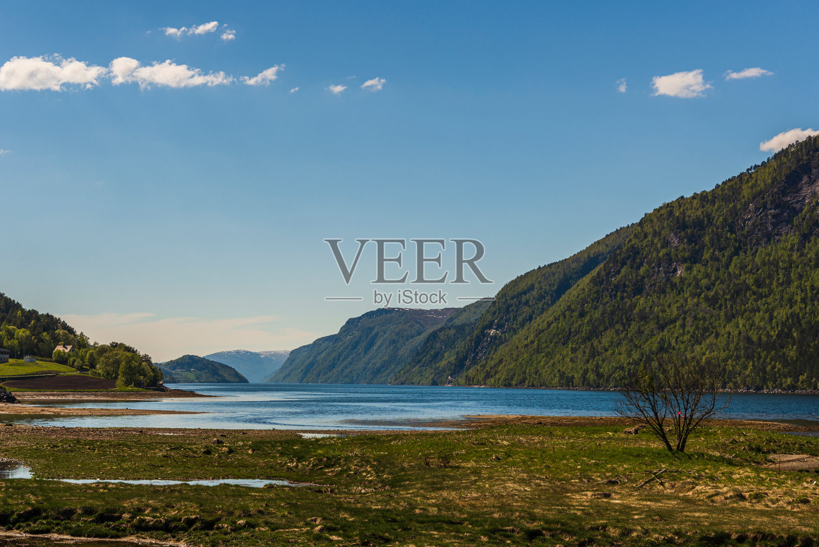 从阿尔松到挪威特隆赫姆途中的春景照片摄影图片