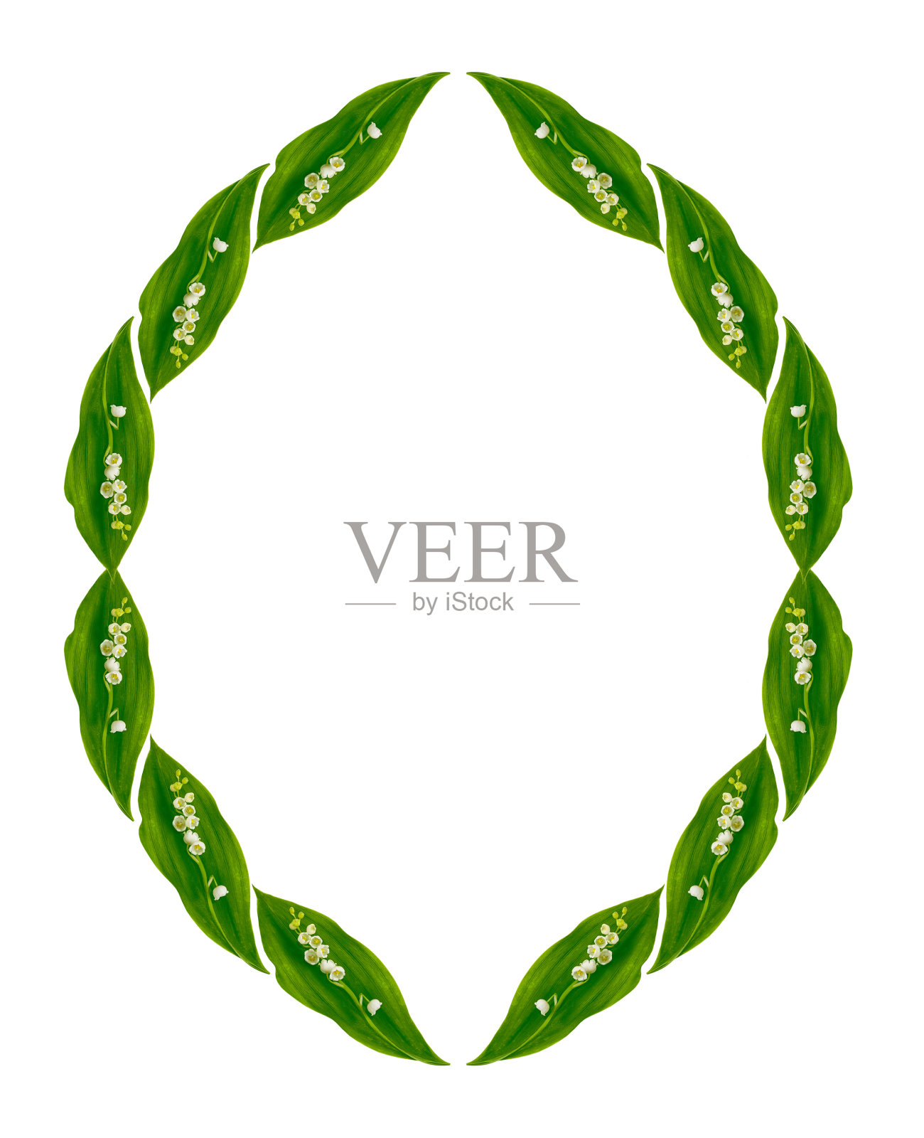 铃兰照片摄影图片