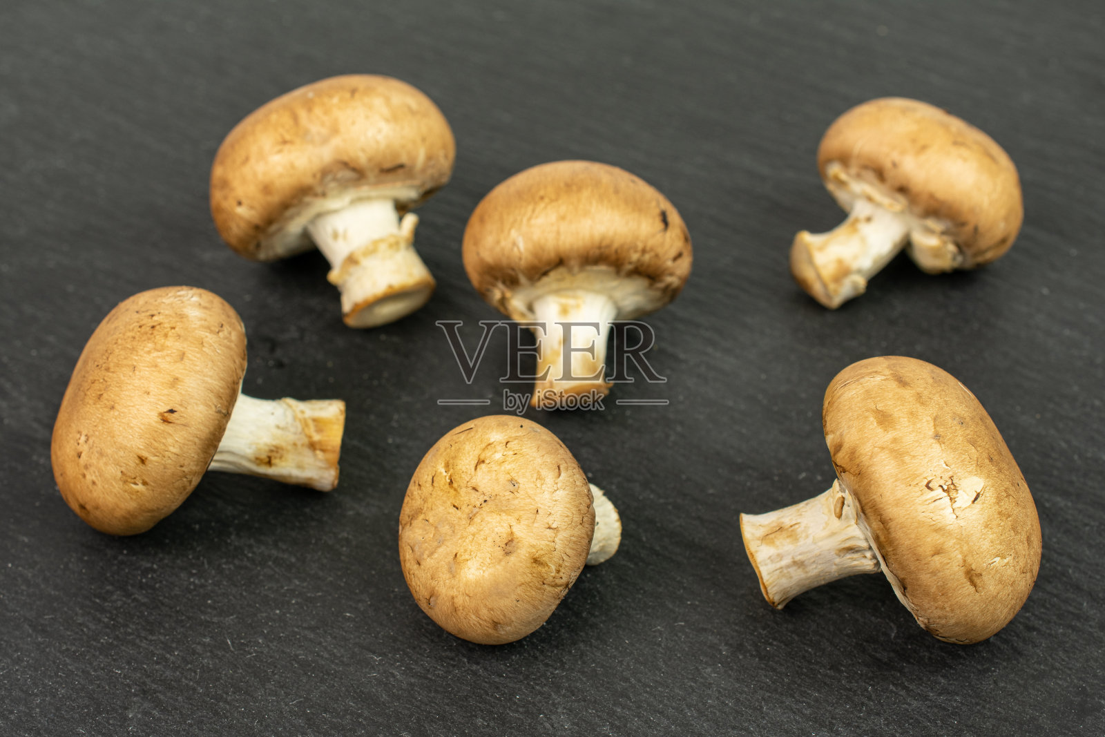 灰色的石头上有新鲜的棕色蘑菇照片摄影图片