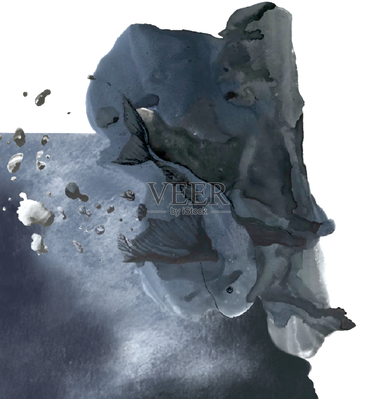 大鱼在水里，水墨插画插画图片素材