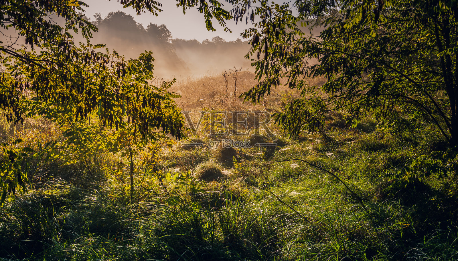 日出河照片摄影图片