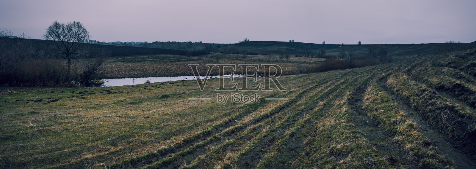 日出河照片摄影图片