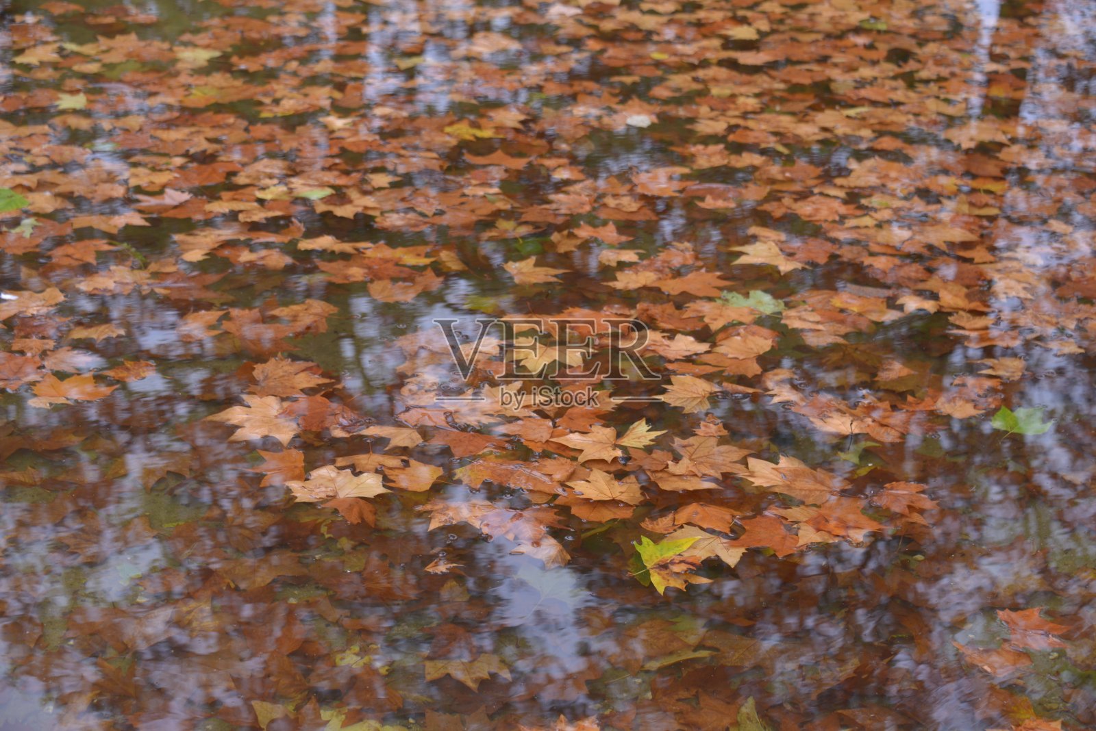 旅行在比利时照片摄影图片