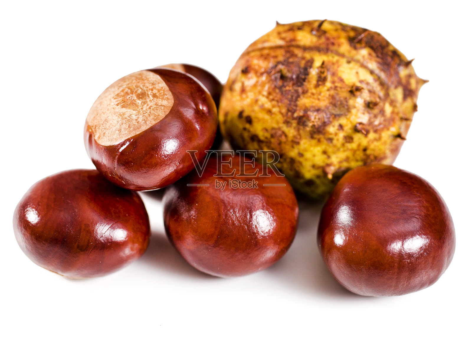 栗子照片摄影图片