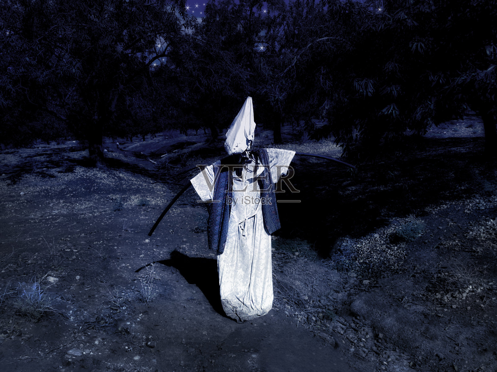 月光下的花园稻草人照片摄影图片