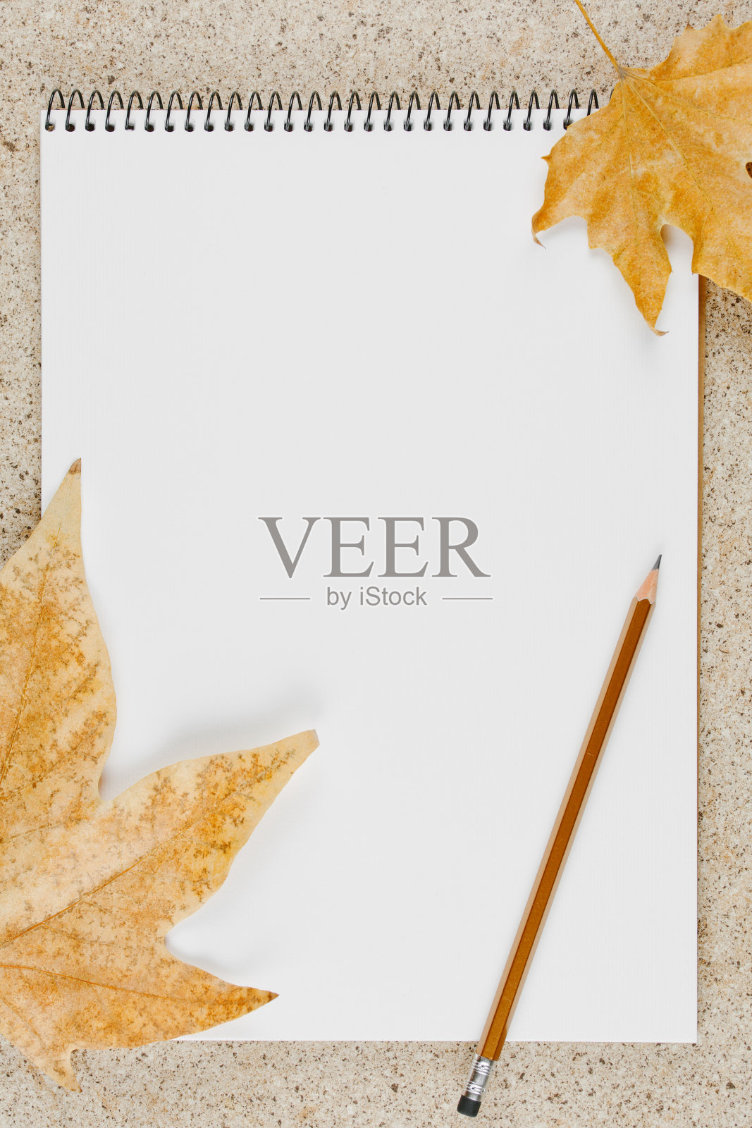 用铅笔打开笔记本在桌面上查看照片摄影图片