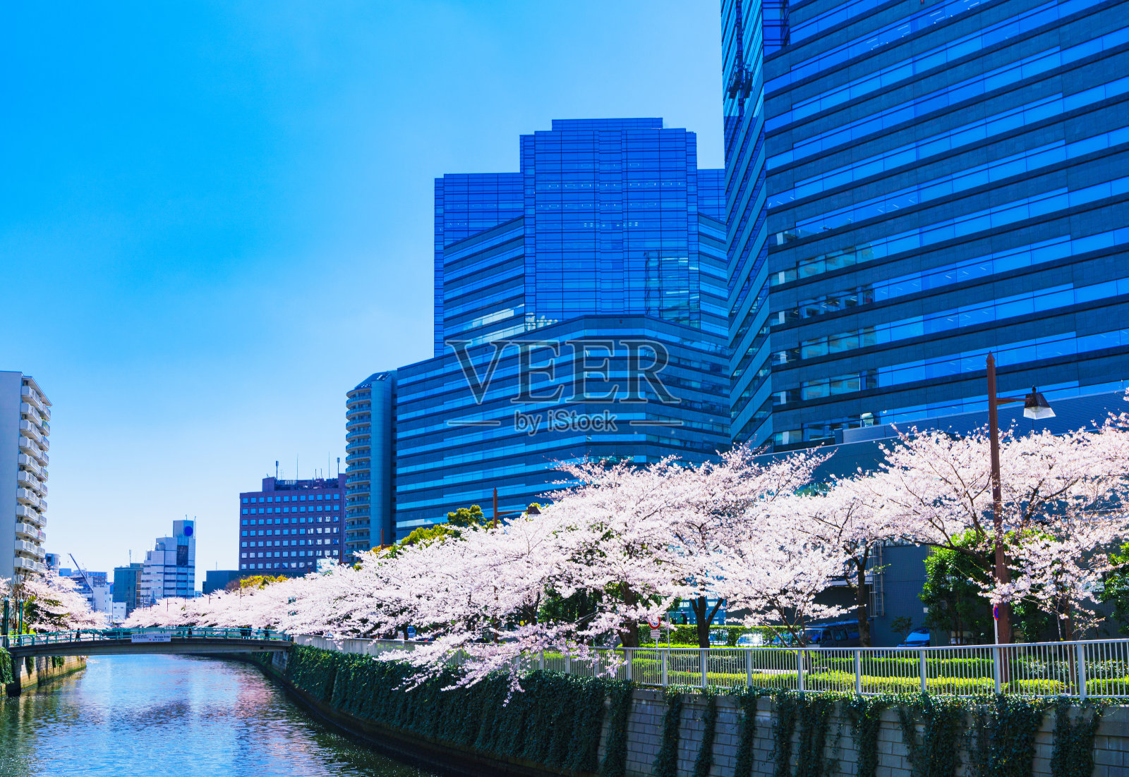 日本东京大崎春江边城市景观照片摄影图片