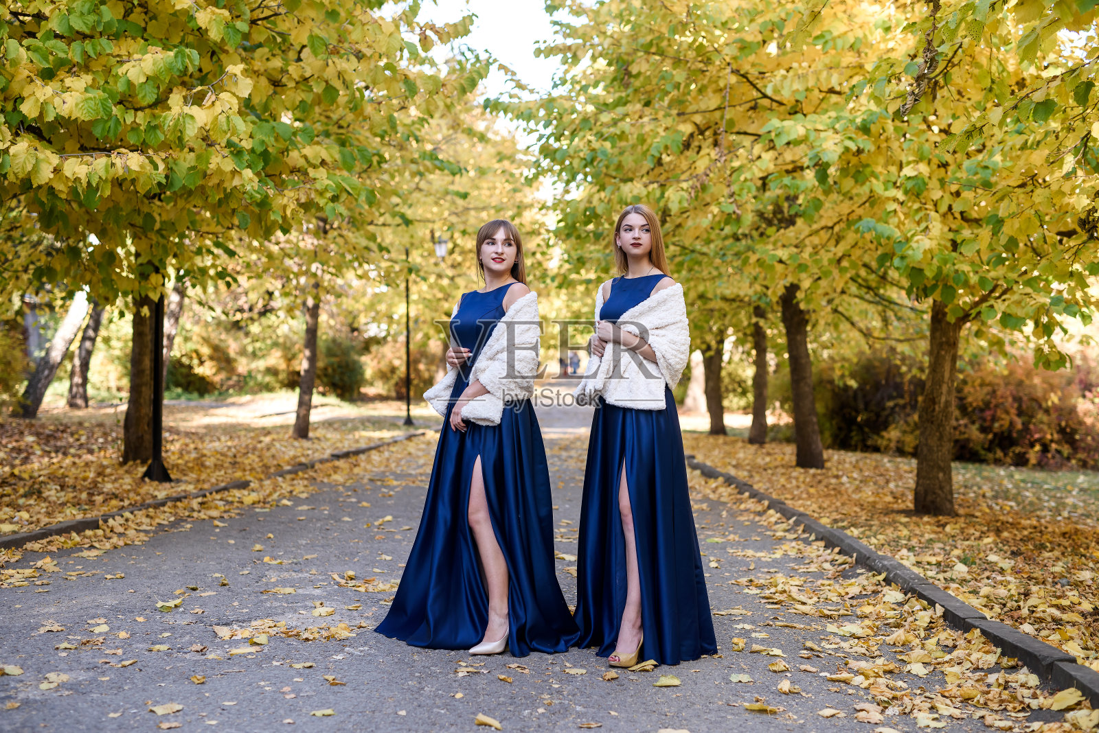 在秋天的公园里，两位非常漂亮的年轻女士穿着时髦的蓝色衣服。照片摄影图片