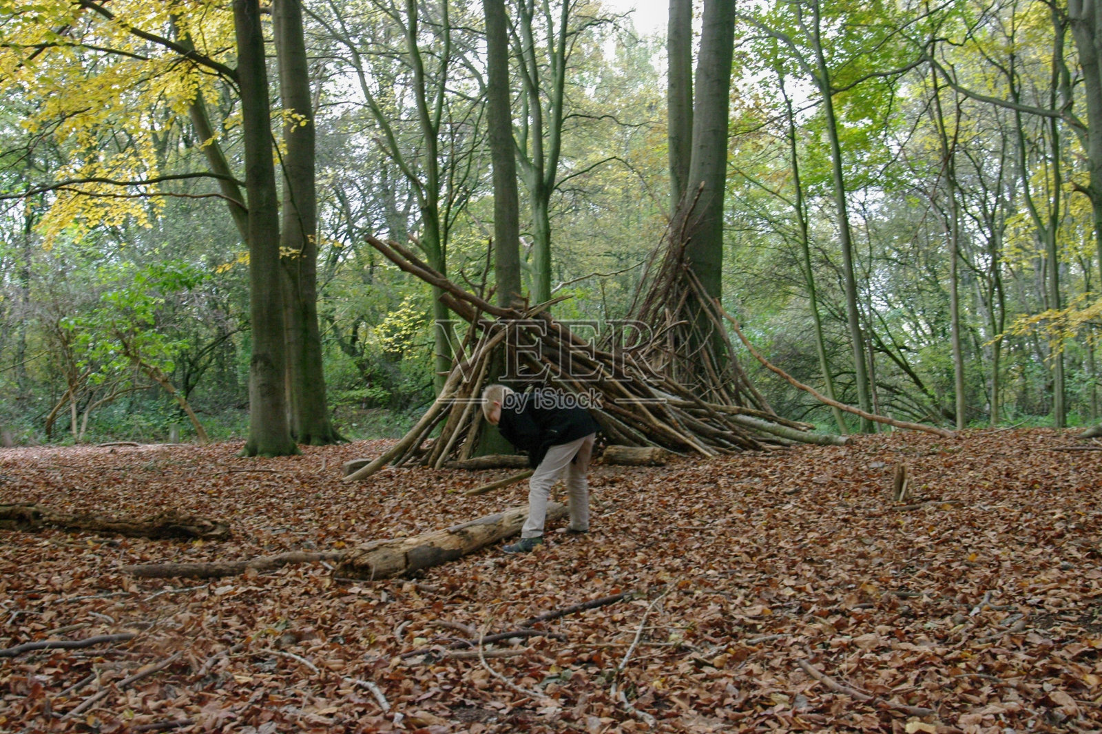 在森林里玩耍照片摄影图片