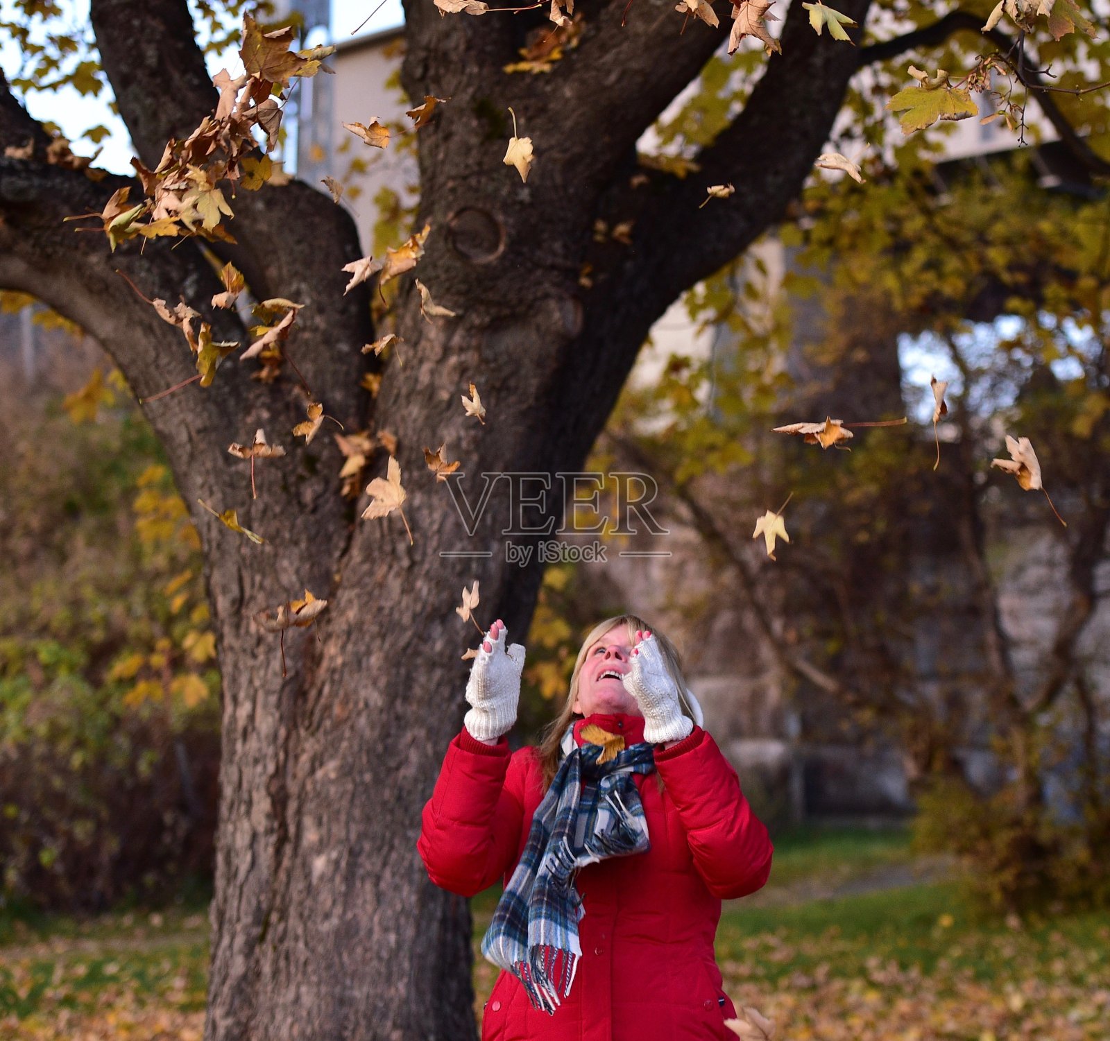 老女人在玩秋叶照片摄影图片