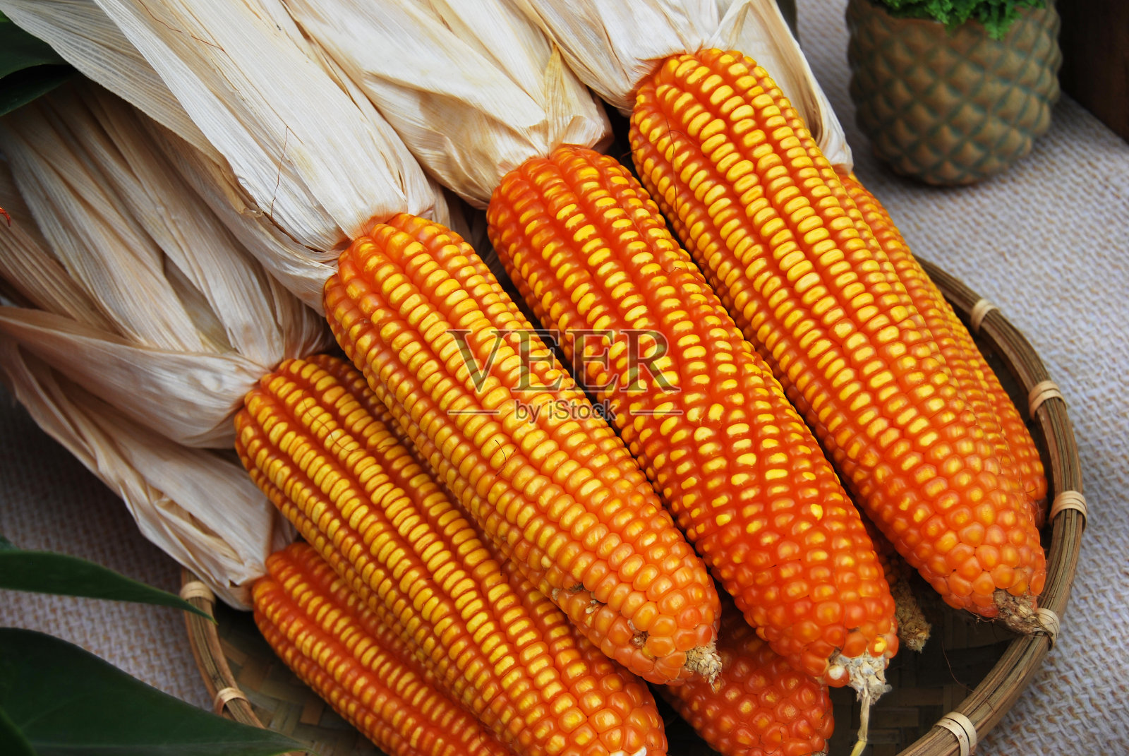 鸡眼照片摄影图片