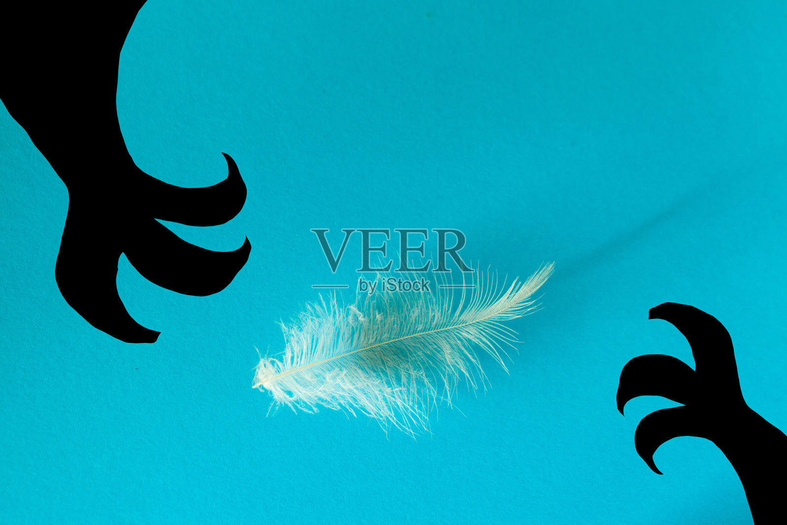 木头上的油照片摄影图片