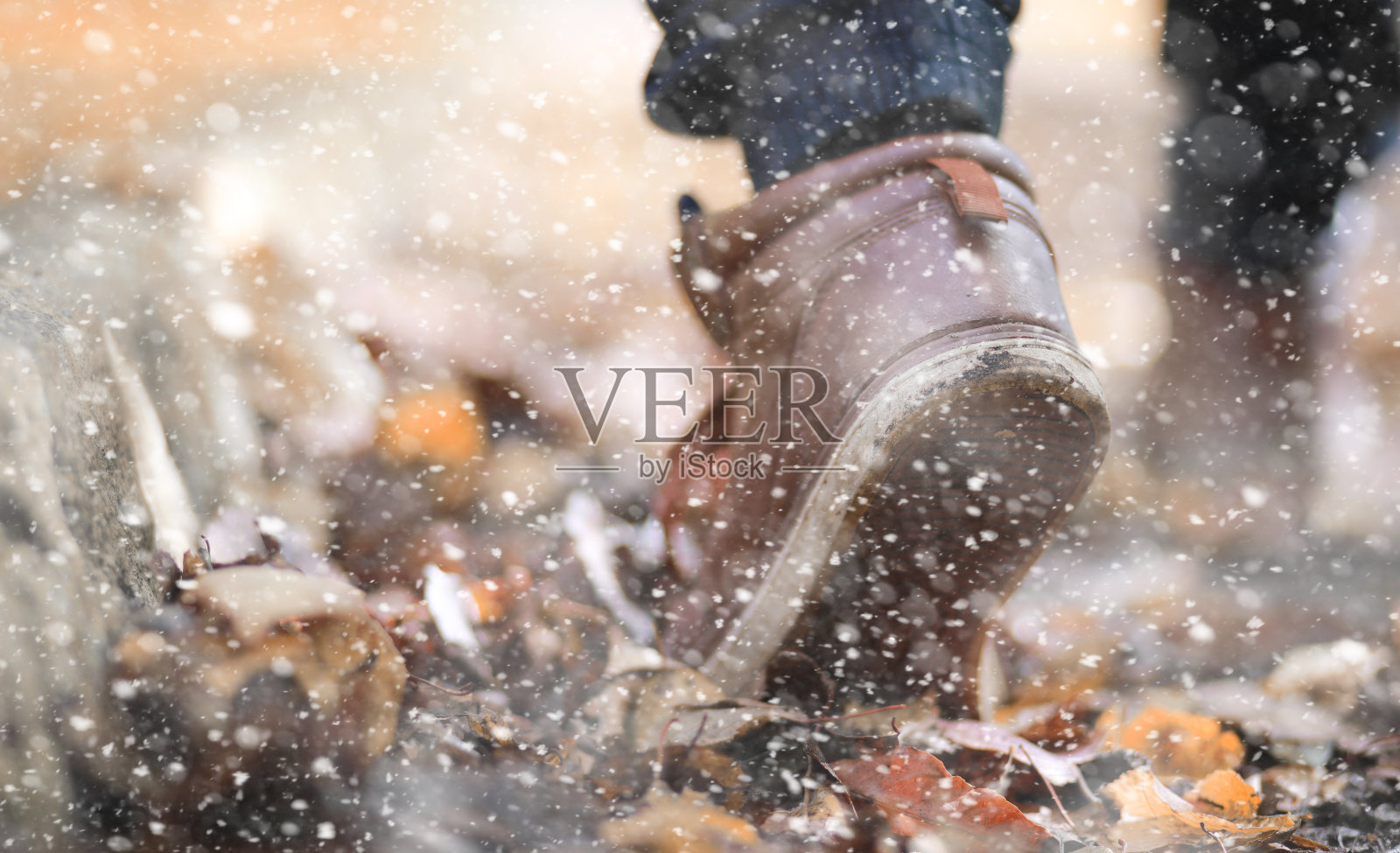 秋天公园里的第一场雪照片摄影图片