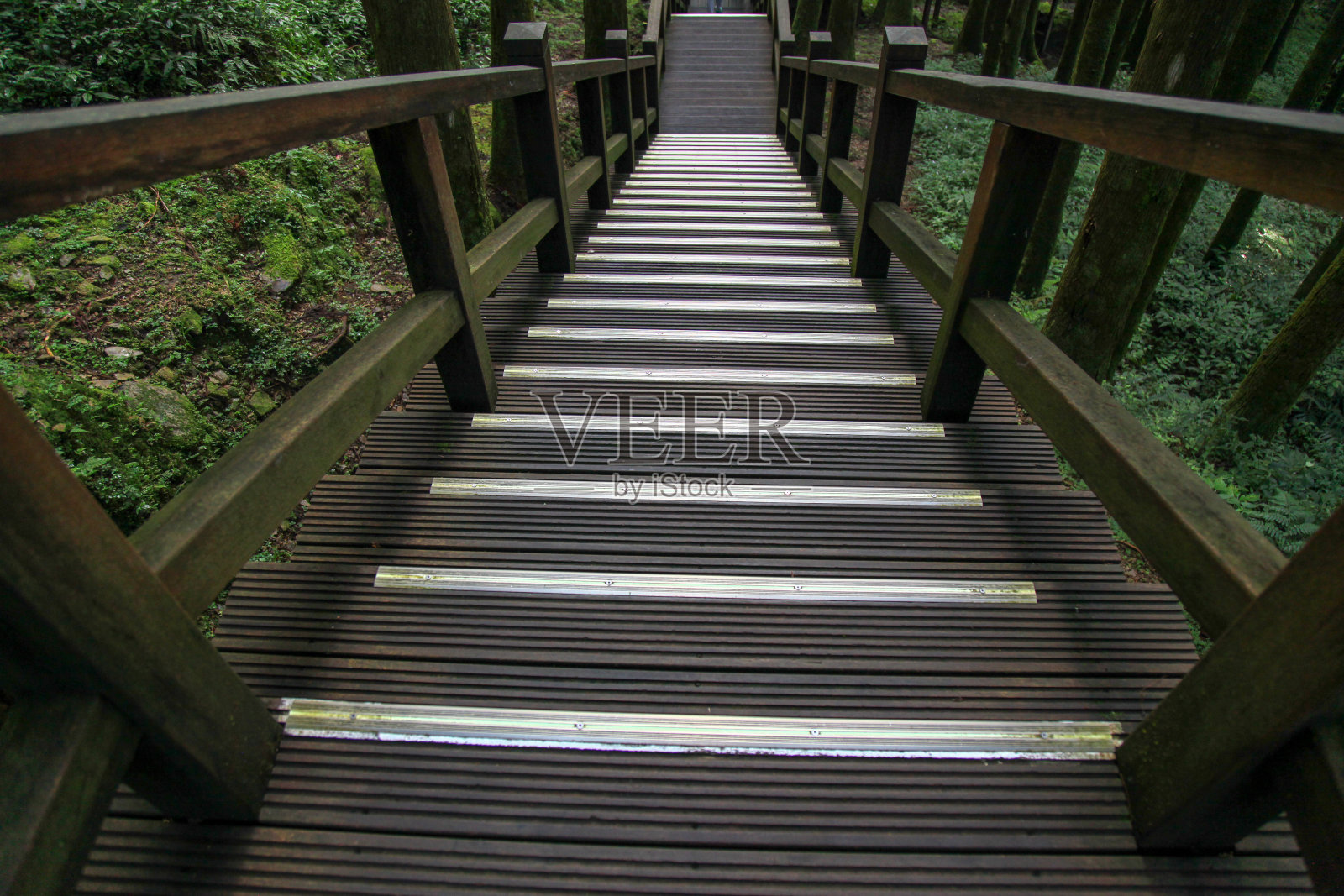 来自台湾的木材栈道照片摄影图片