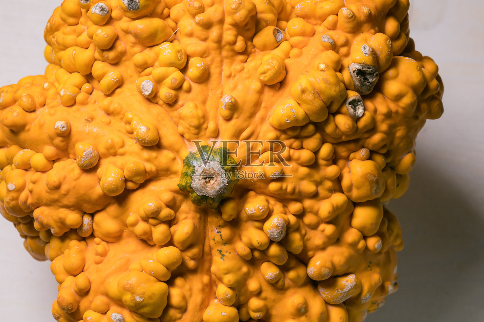 南瓜背景纹理材料充分框架照片摄影图片