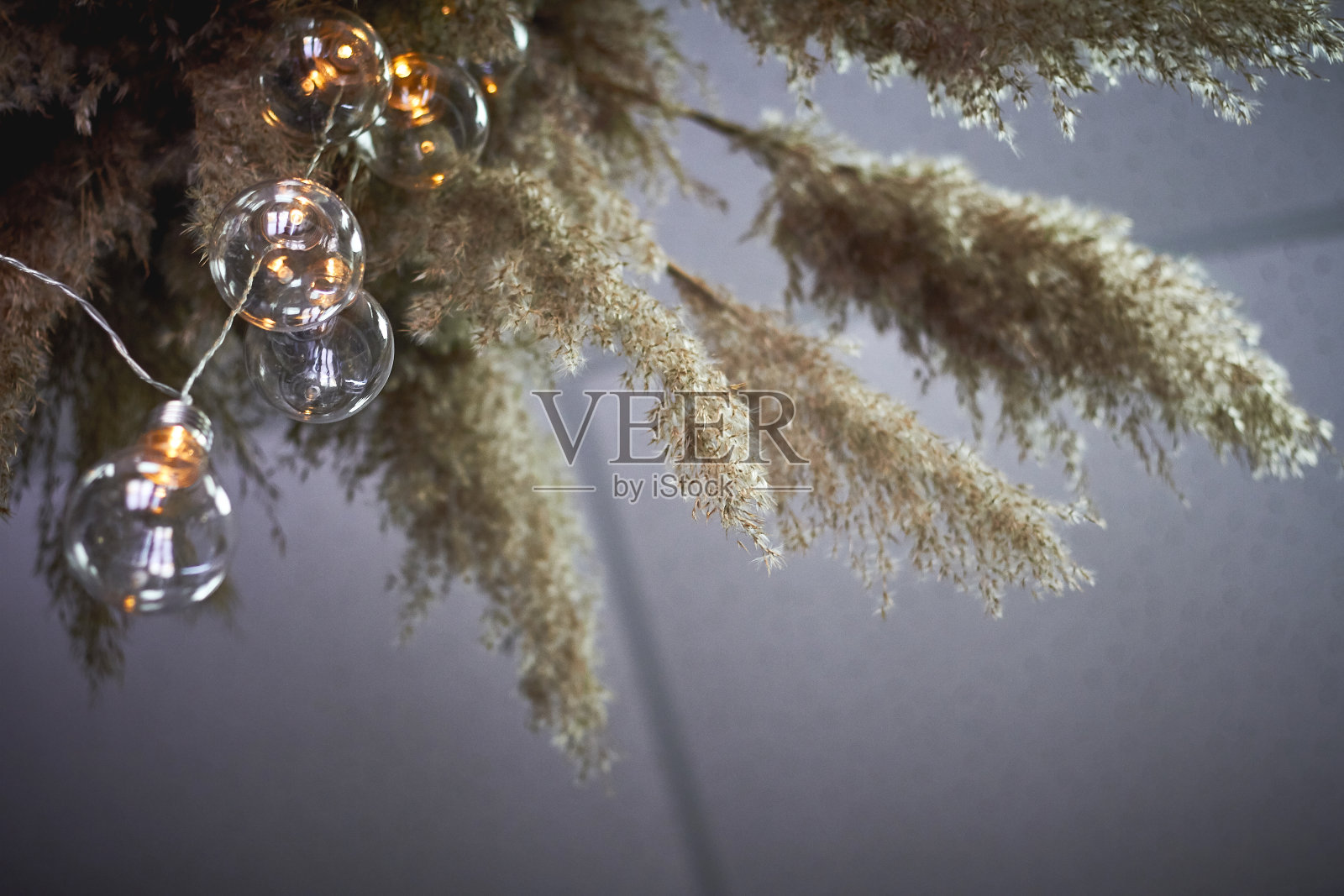 底部视图组成的芦苇和一个花环的灯泡，选择性焦点照片摄影图片