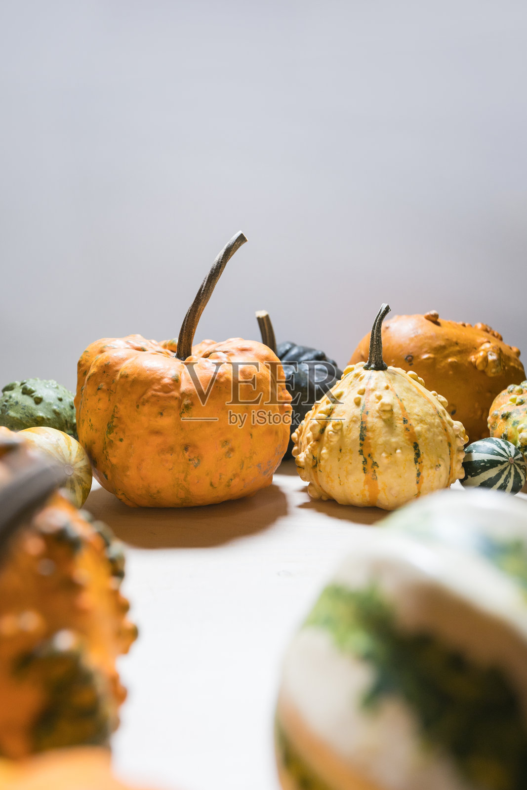 一大群南瓜和南瓜照片摄影图片