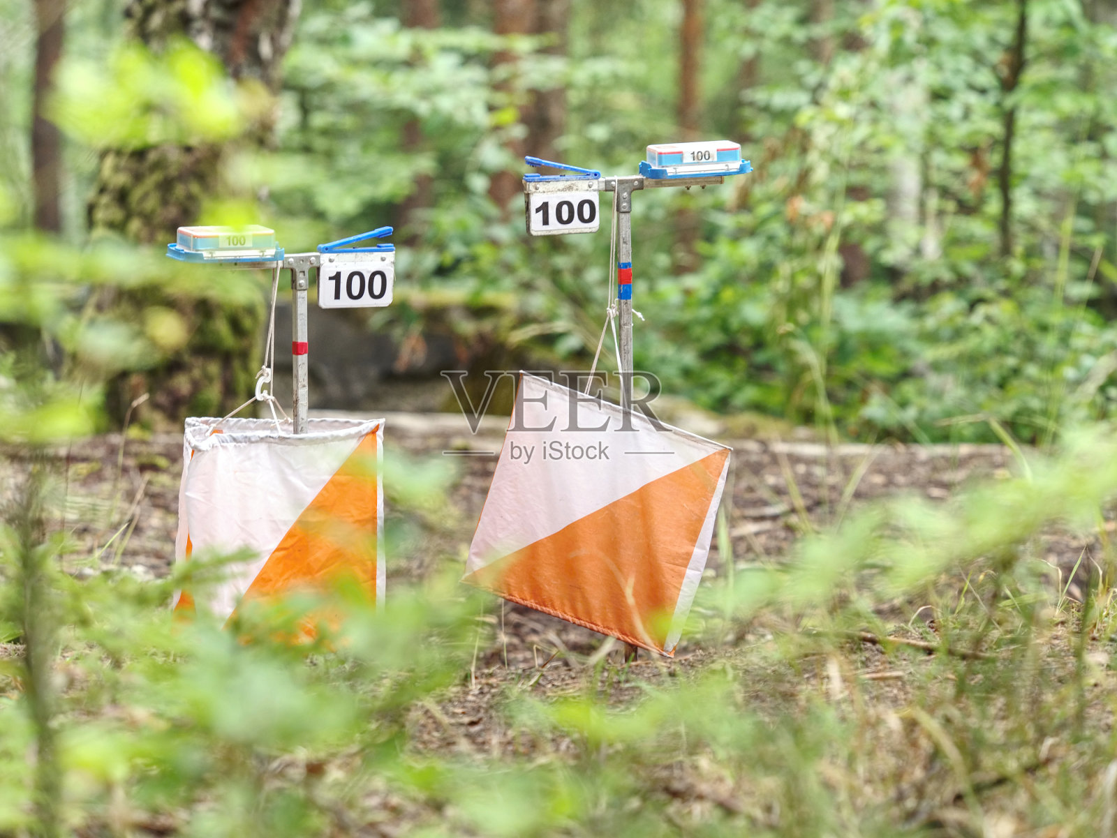 在森林公园进行定向越野训练。户外越野识途比赛照片摄影图片