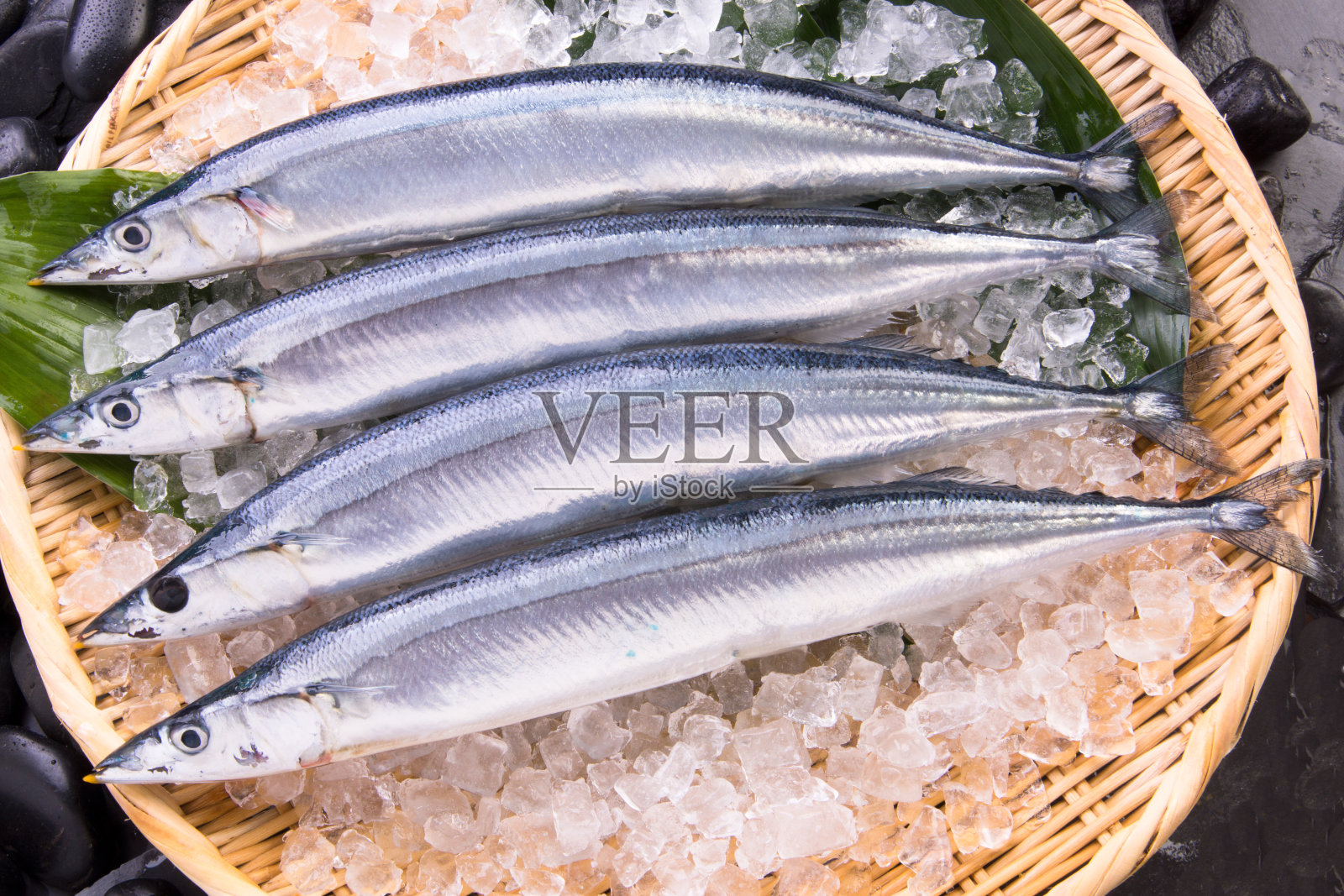 派克照片摄影图片