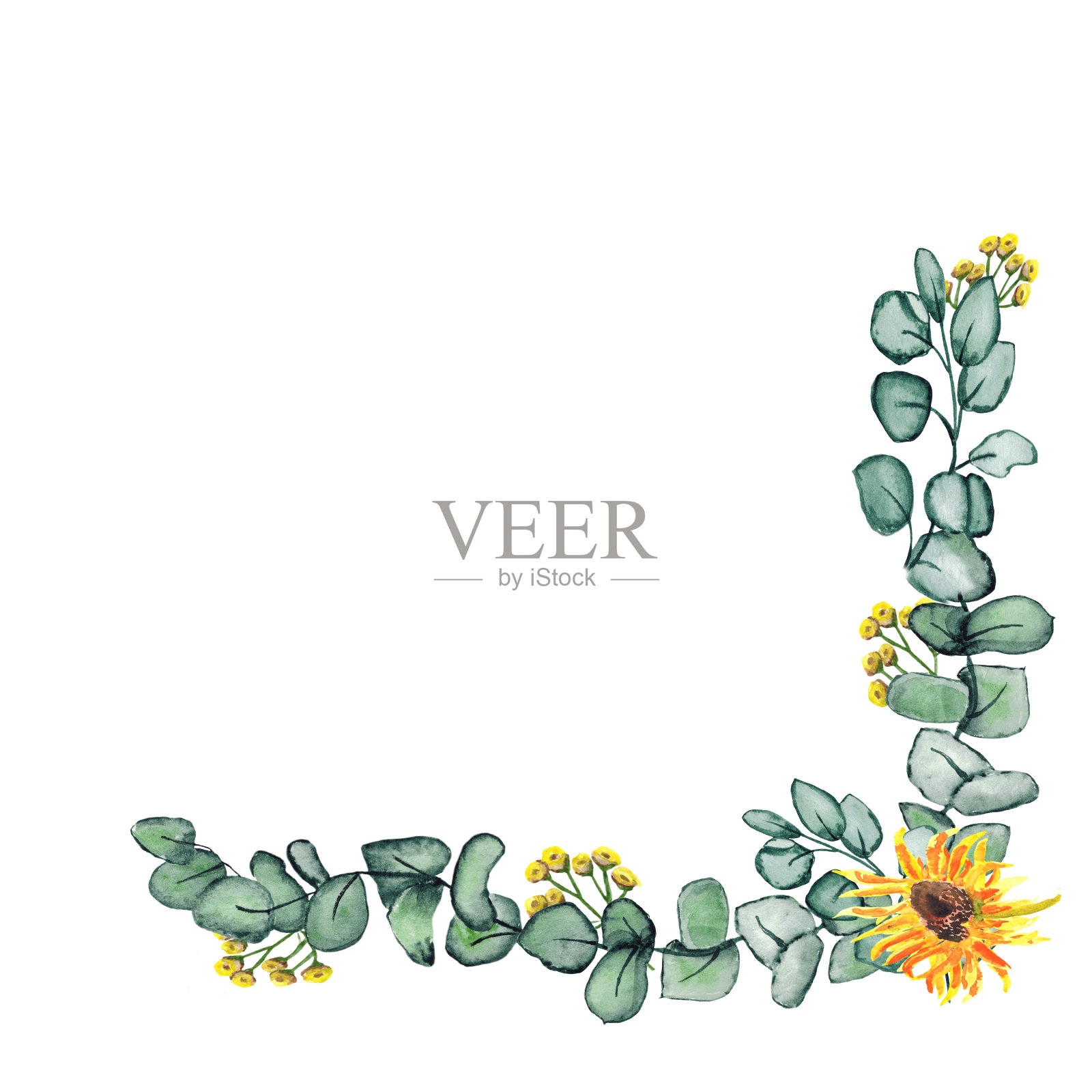 水彩手画自然浪漫的组成角花束与绿色的叶子和桉树枝和黄色的花在白色的背景邀请和卡片插画图片素材