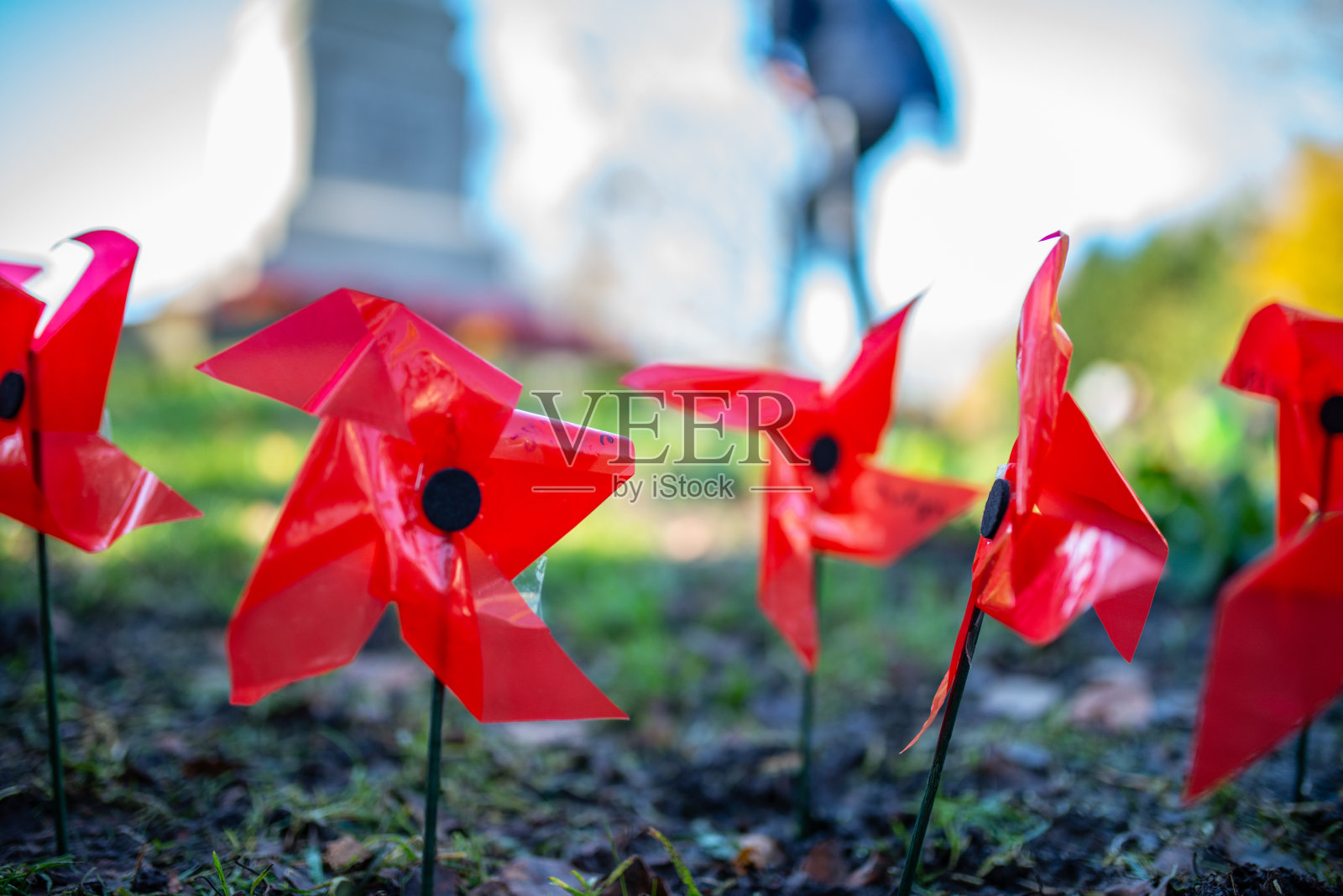 罂粟花田照片摄影图片