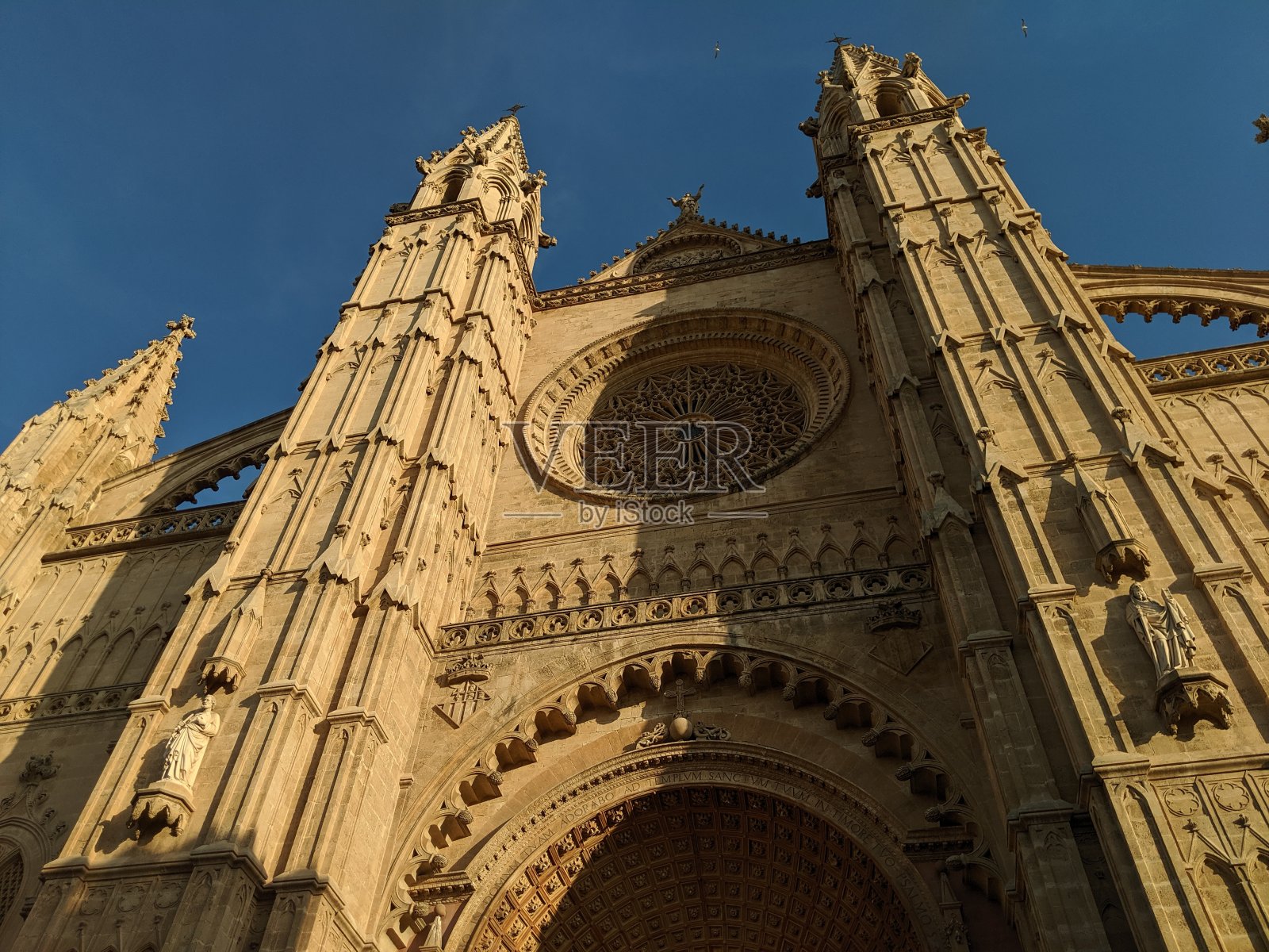 拉你的照片摄影图片