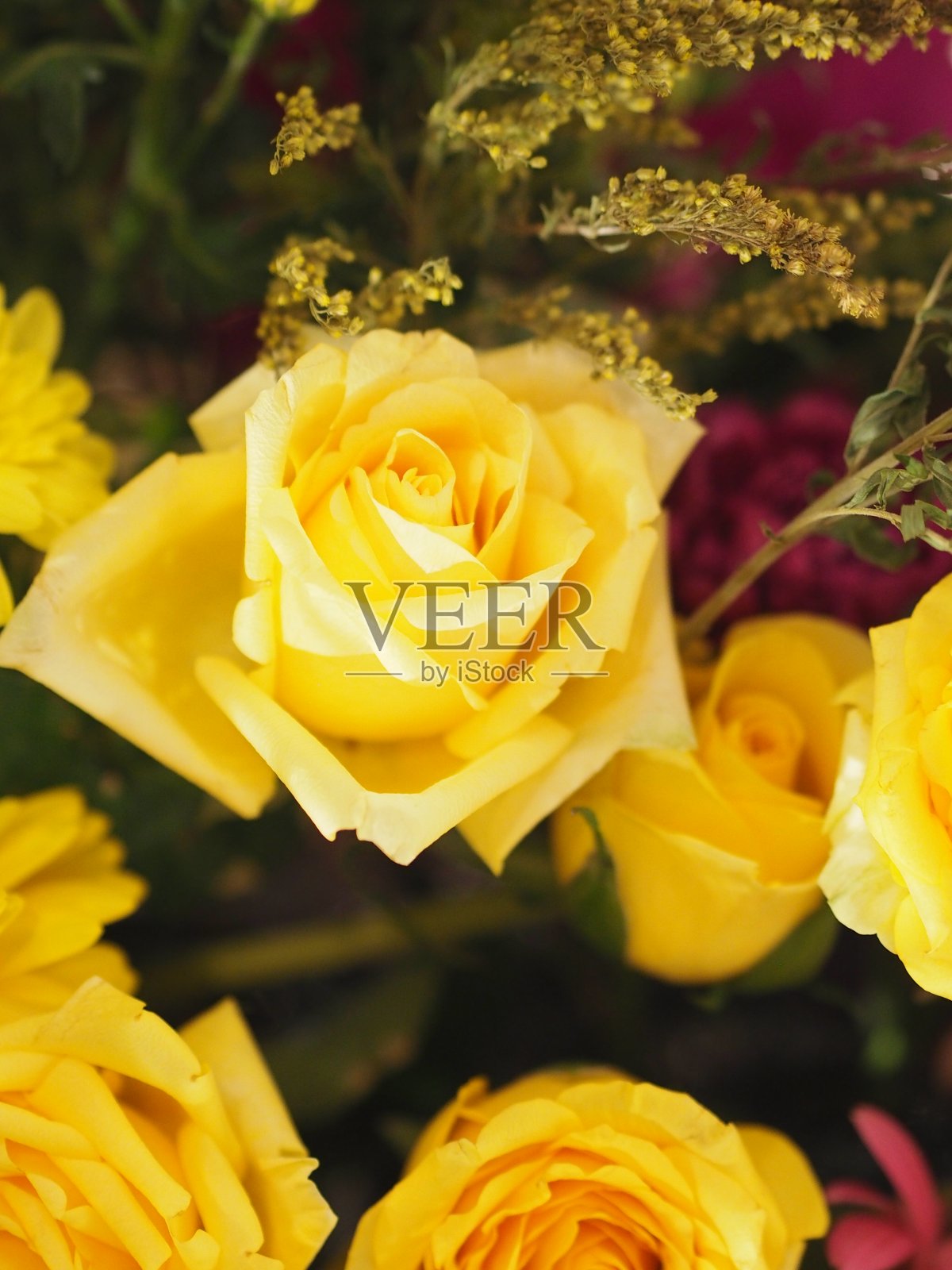 玫瑰花黄色颜色排列美丽的花束在迷离的自然背景上照片摄影图片