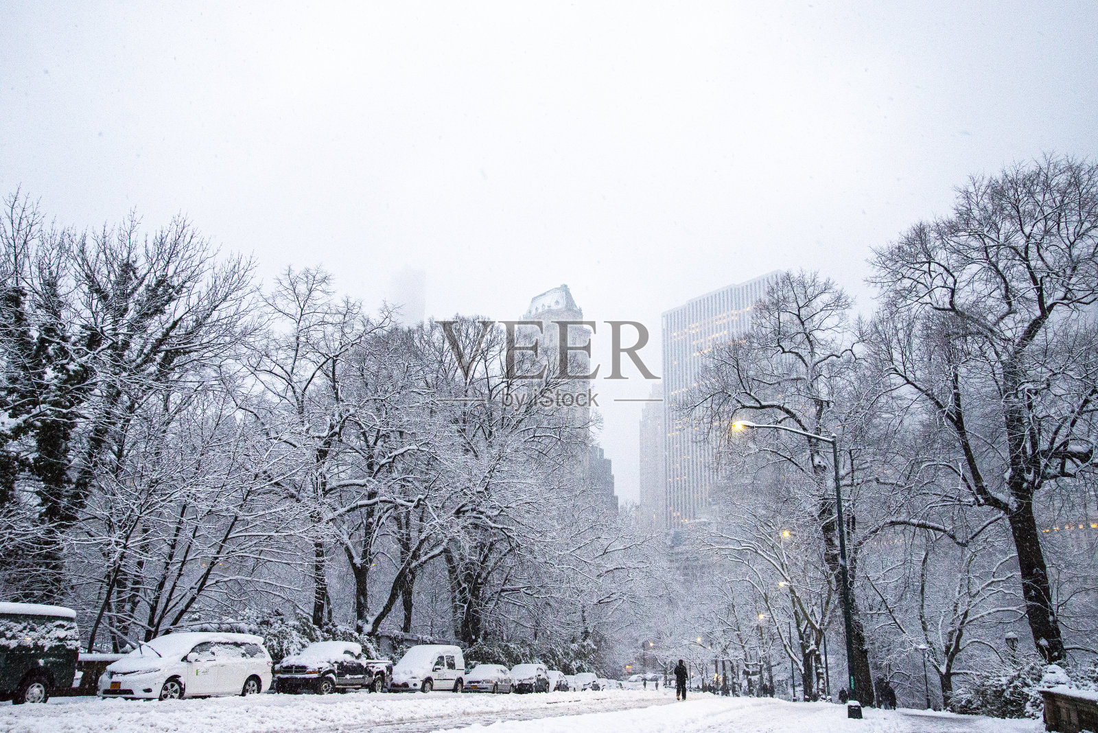 在雪中奔跑照片摄影图片