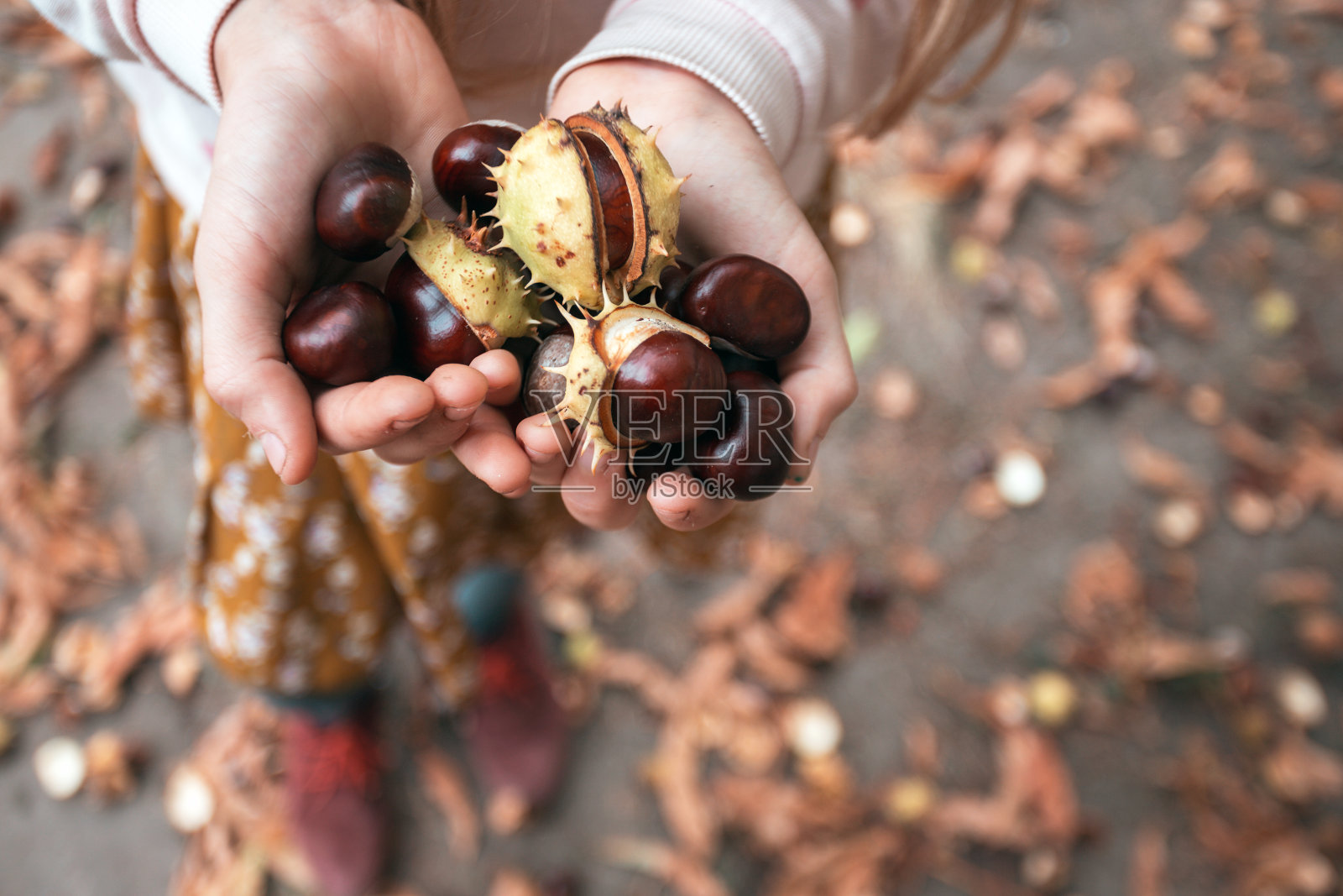 手里拿着栗子的女孩照片摄影图片