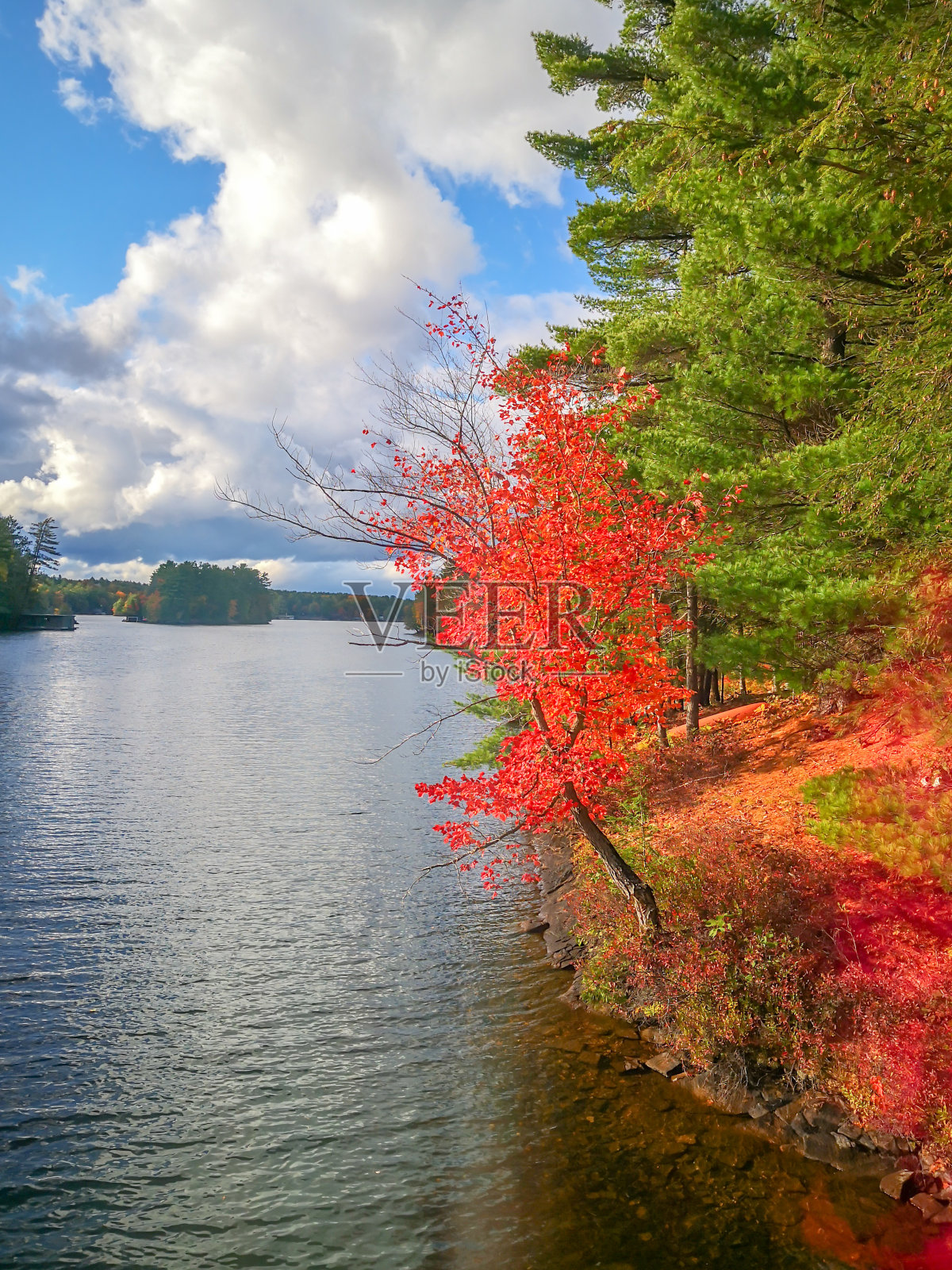 秋天在加拿大安大略省格雷文赫斯特的泰勒岛照片摄影图片