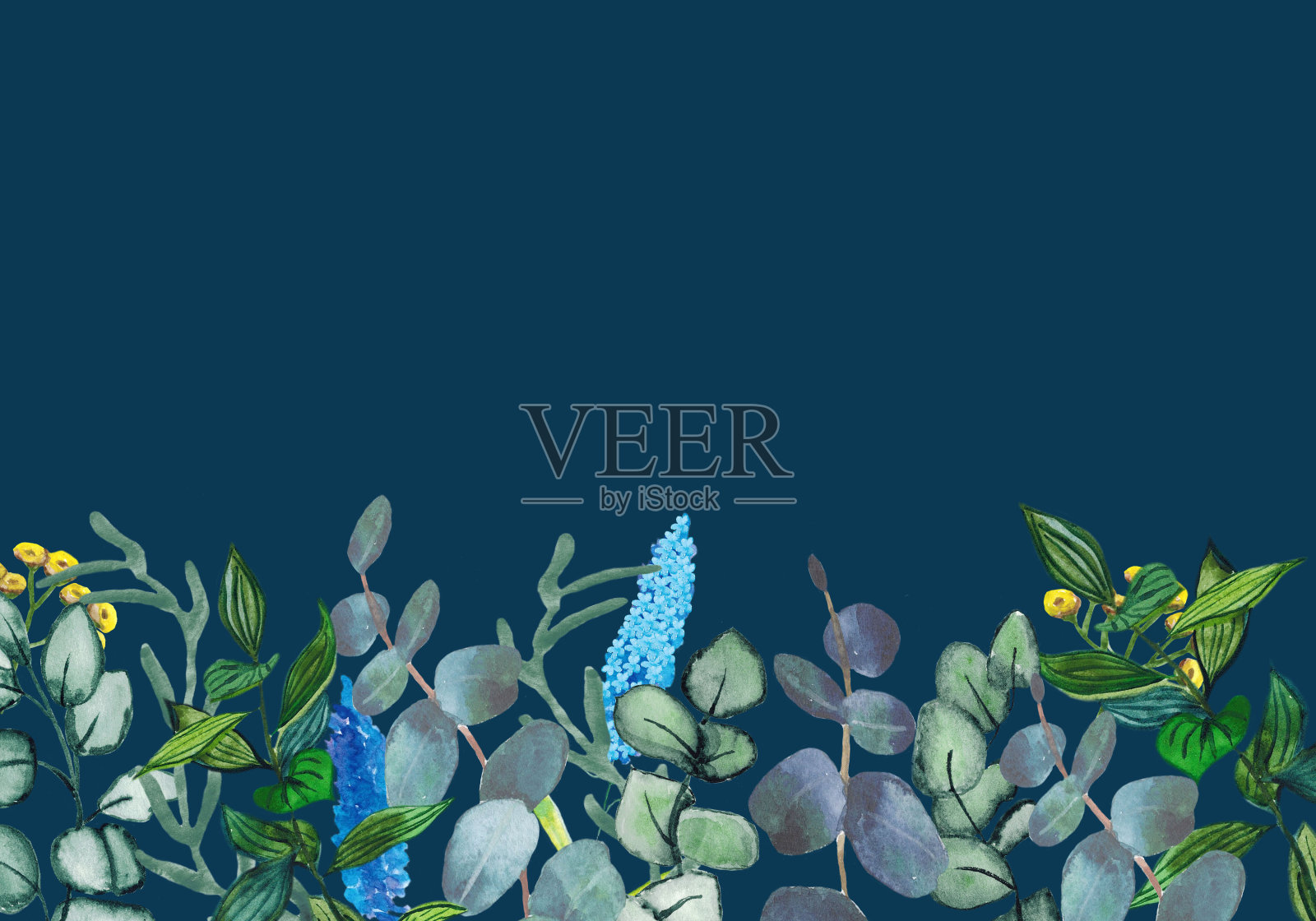 水彩自然手绘花横幅线与绿色桉树植物的树枝，蓝色的花和黄色的小枝在一个深蓝色的背景邀请和卡片设计。插画图片素材