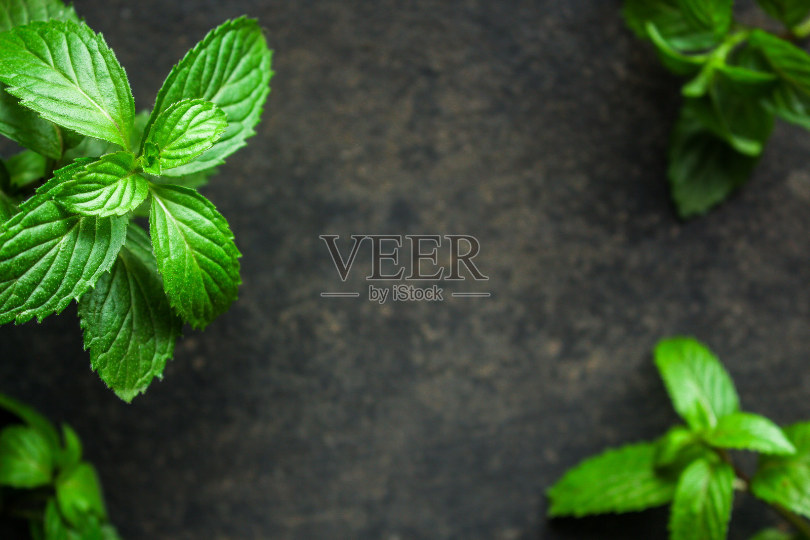 薄荷、绿色香花瓣(美食装饰)菜单理念。食品的背景。副本的空间。俯视图照片摄影图片