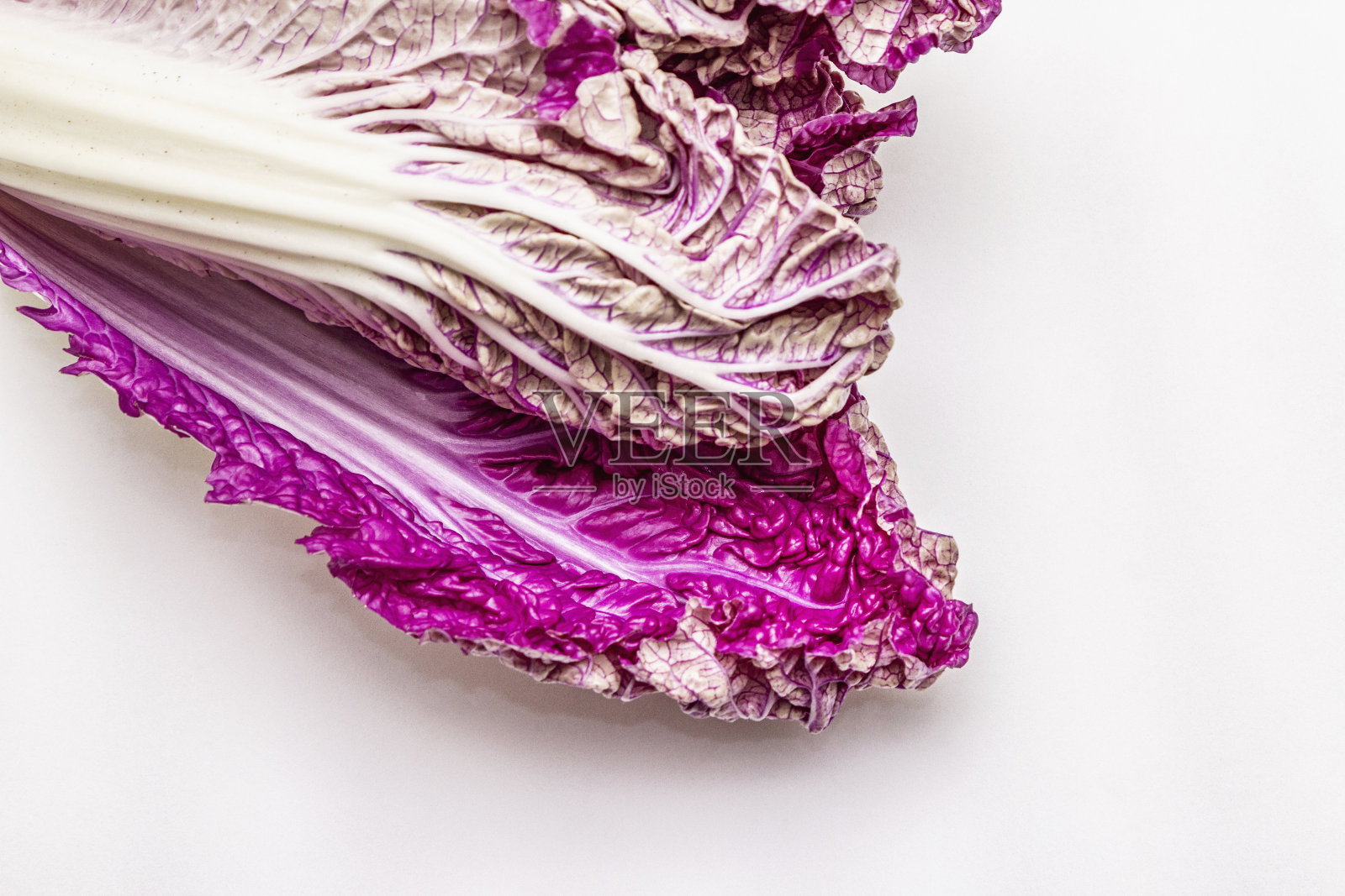 成熟的单瓣紫色大白菜。新鲜的整颗卷心菜。在白色背景上隔离照片摄影图片