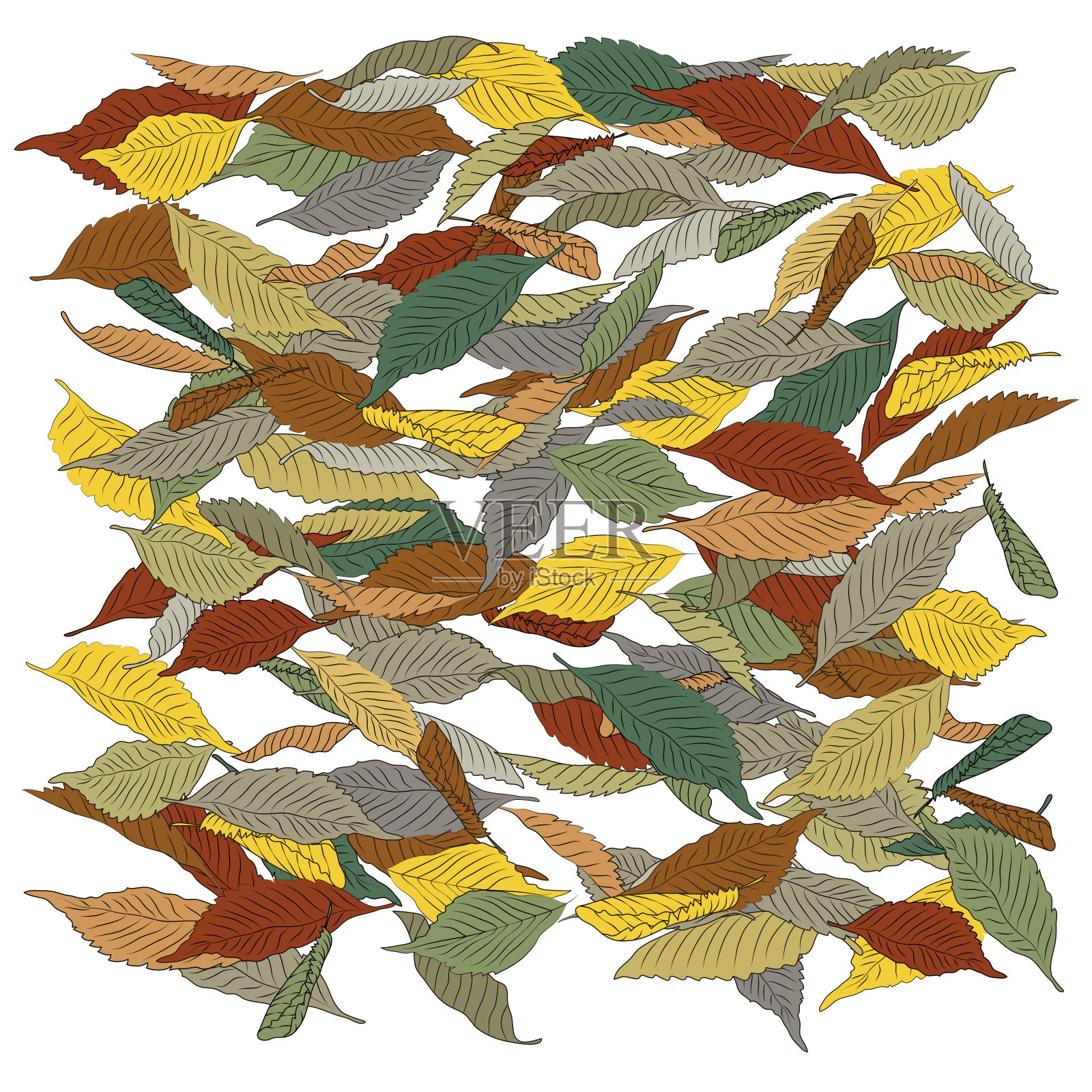 落叶画框插图插画图片素材