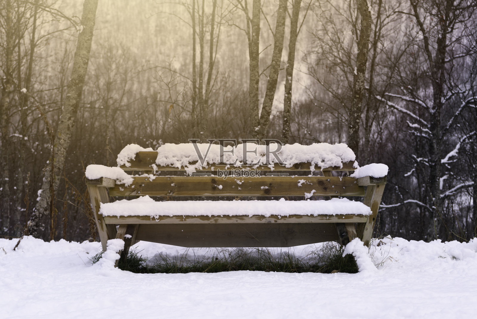 带雪的木凳照片摄影图片