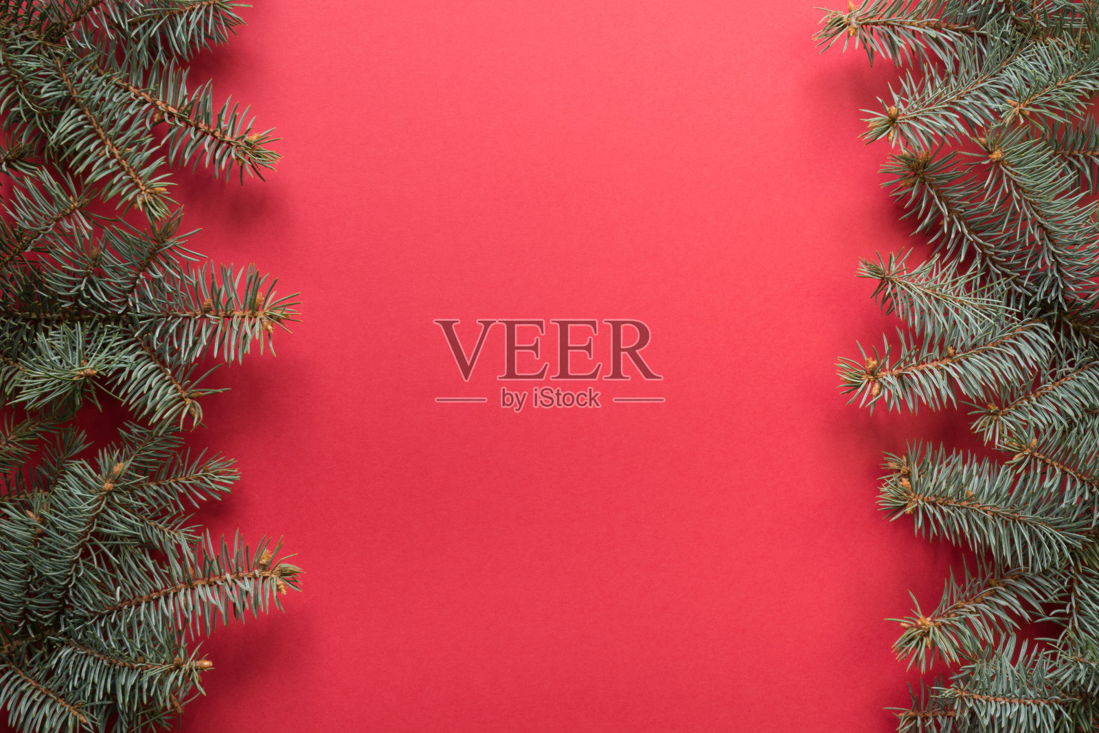 圣诞框架与冷杉树枝在红色的背景。文字空间，俯视视角，平面布局。新年快乐。照片摄影图片