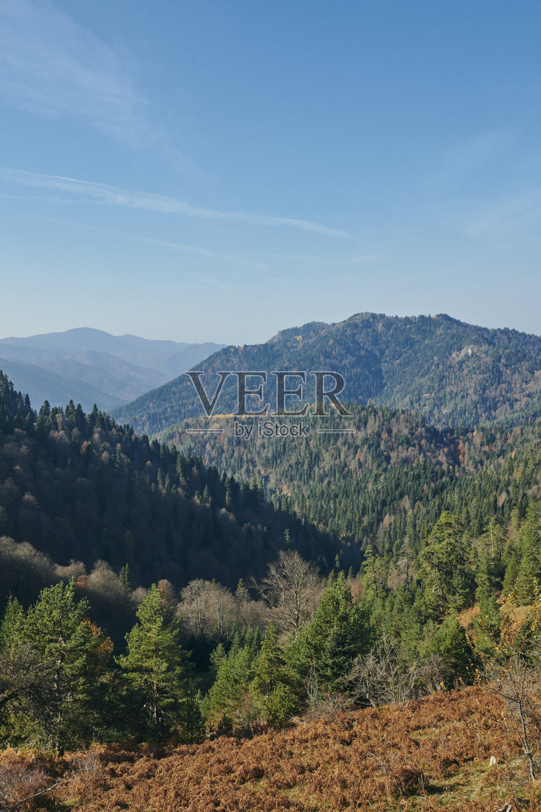 Yedigoller国家公园照片摄影图片