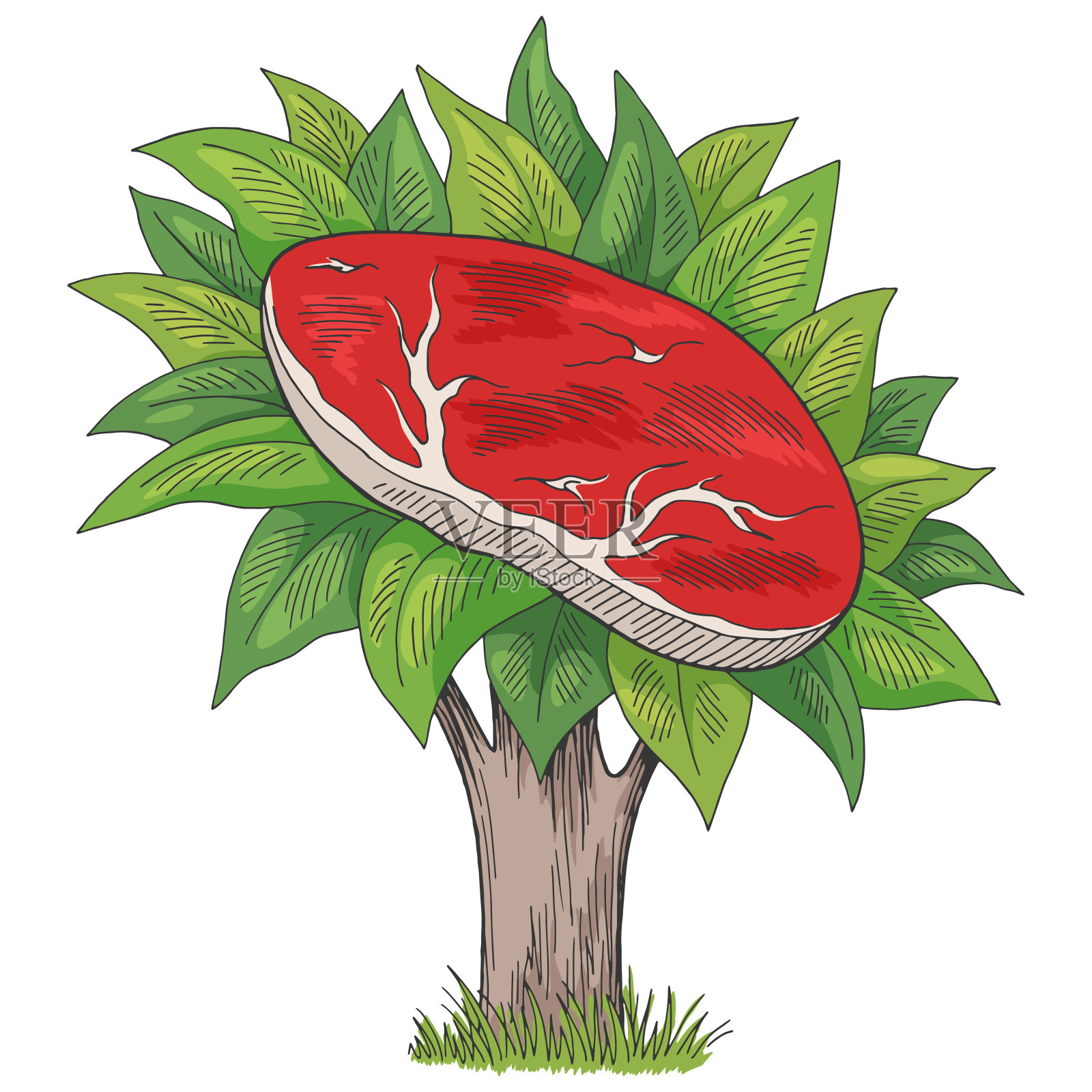 植物素肉生态食物树图形颜色孤立素描插图向量插画图片素材