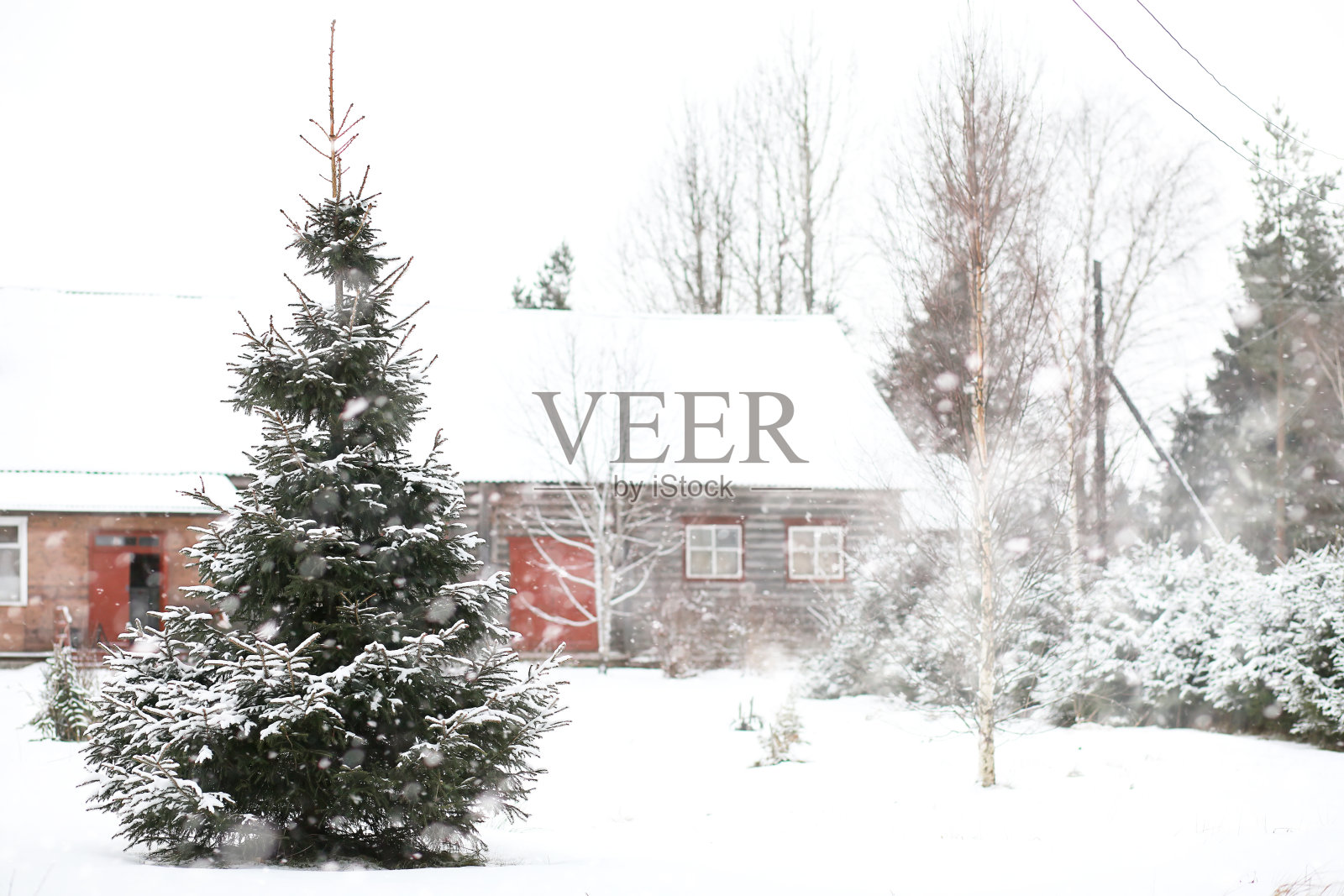 乡间田野和道路的冬季景观照片摄影图片