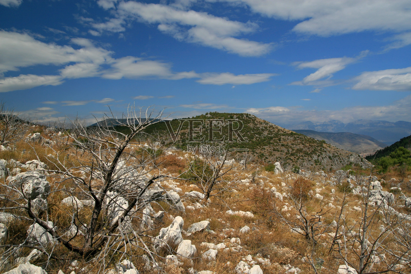 Podgorje附近的野生地区景观照片摄影图片