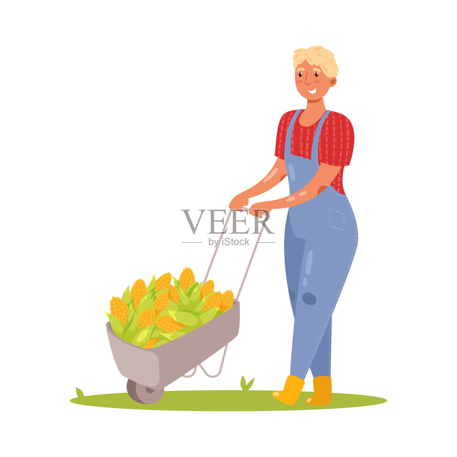 用独轮车运玉米的农民和园艺工人。矢量插图在平面卡通风格。插画图片素材