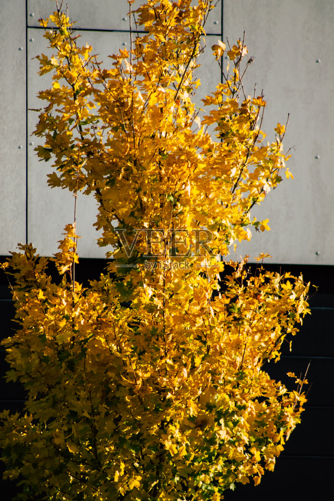 法国的颜色照片摄影图片