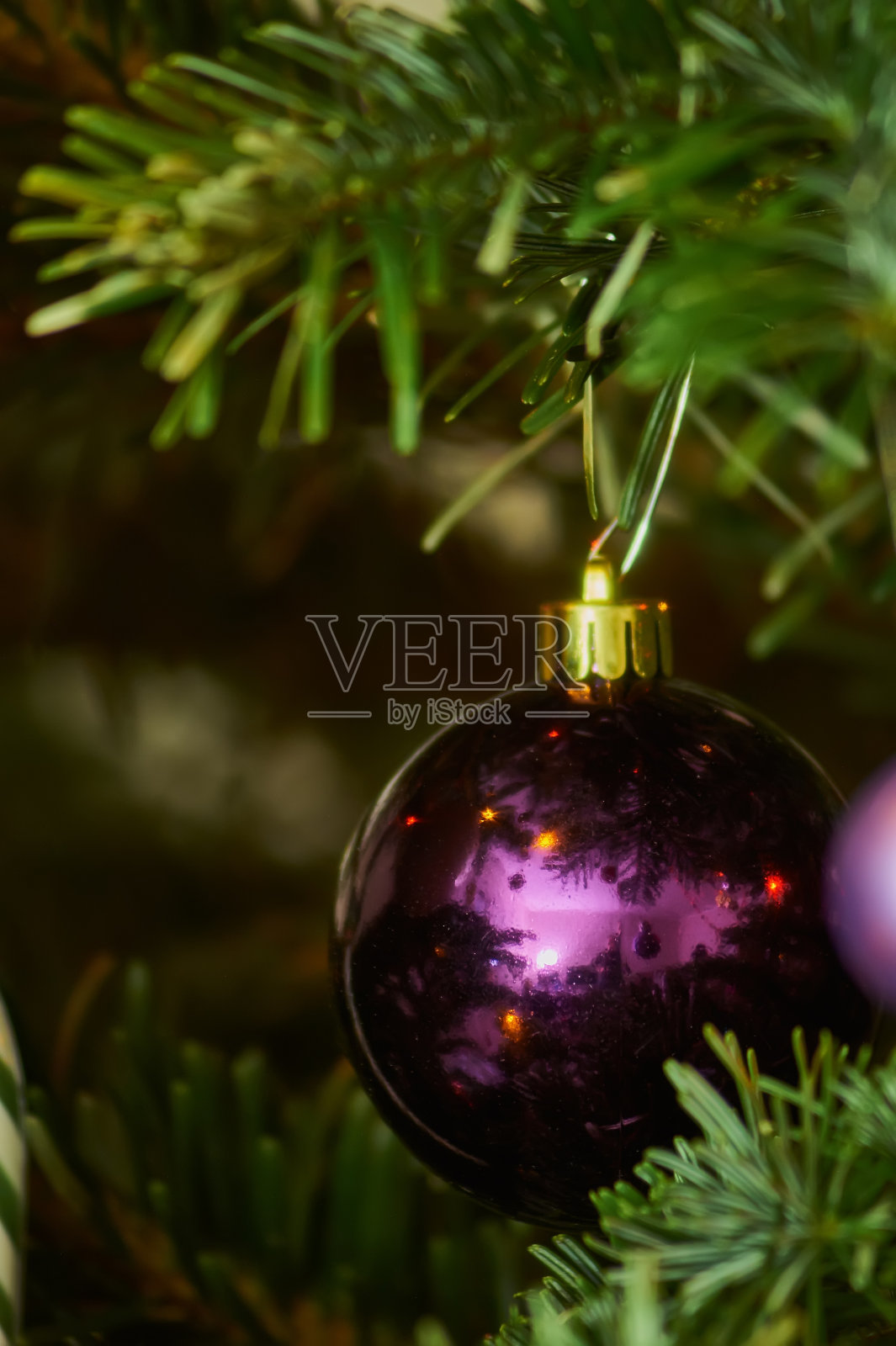 圣诞节组成照片摄影图片